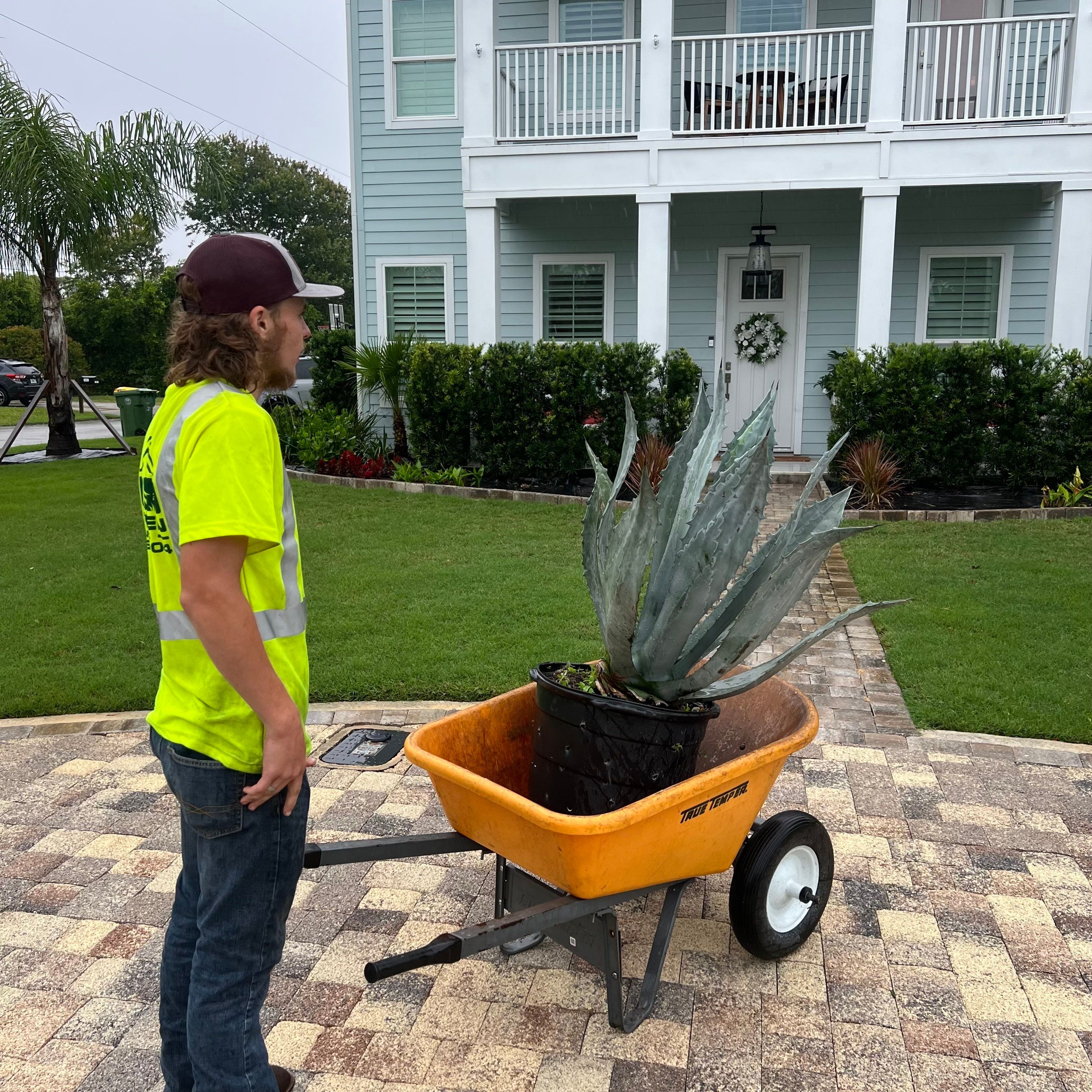 Rock & Agave Installation | Residential by ProGreen Services