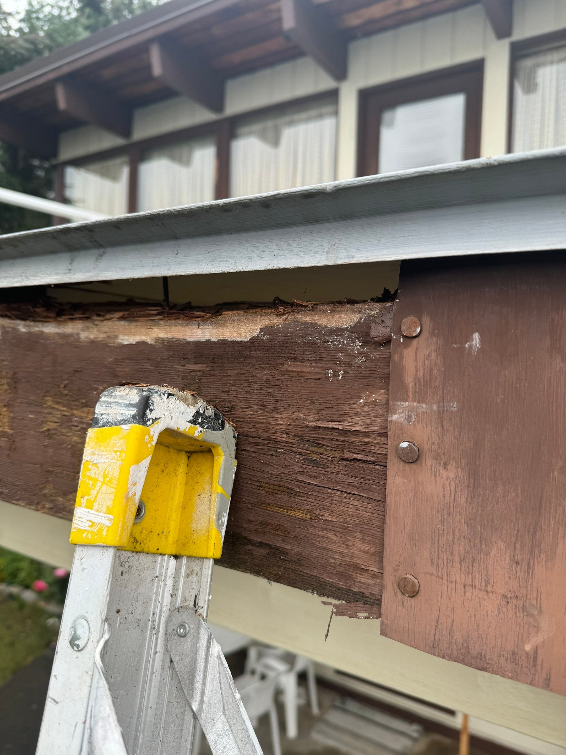 Exterior Window Trim Painting In North Vancouver  by YVR Construction Group