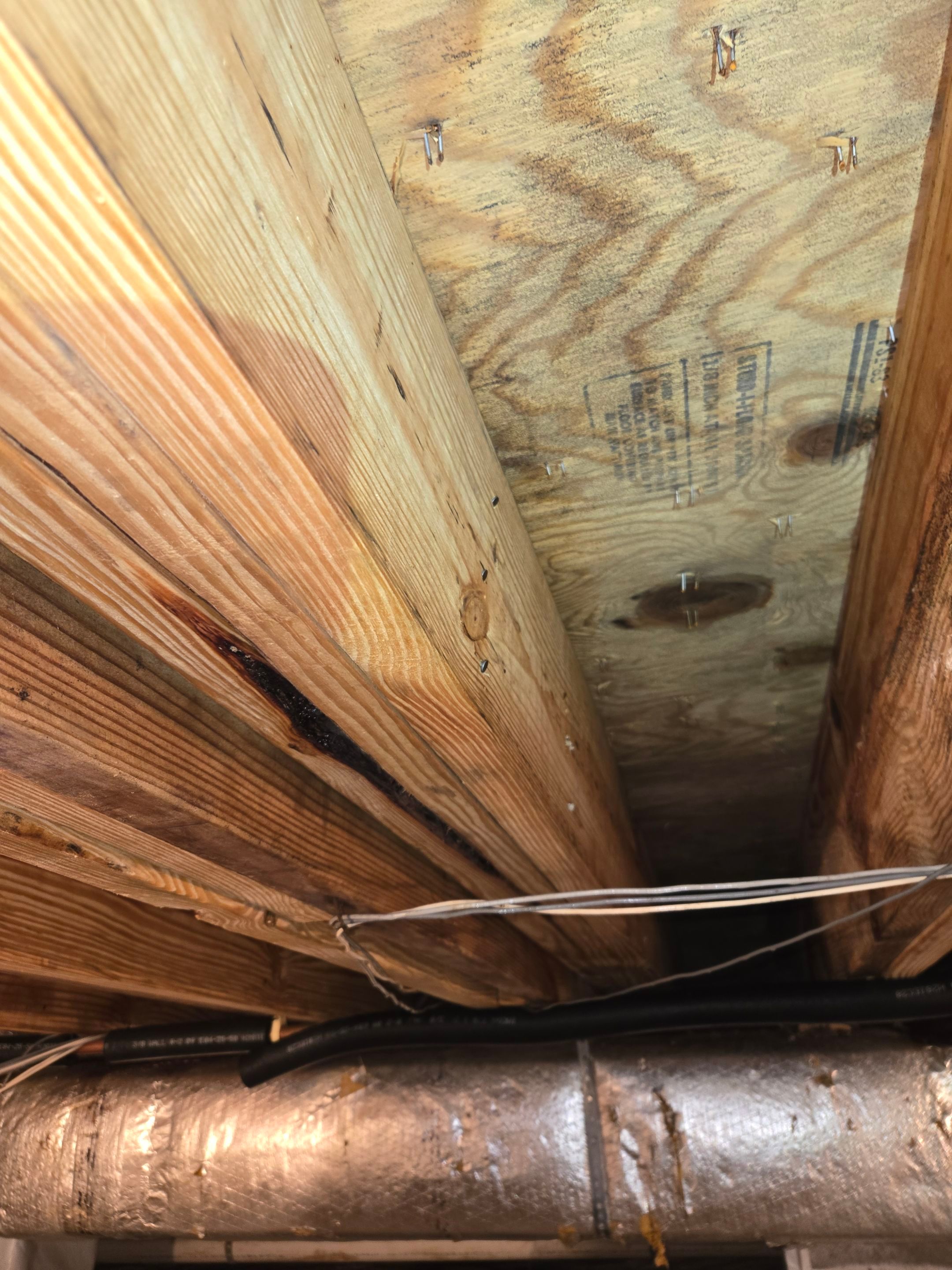 Project in Williamsburg by Patriot Crawl Space Repairs