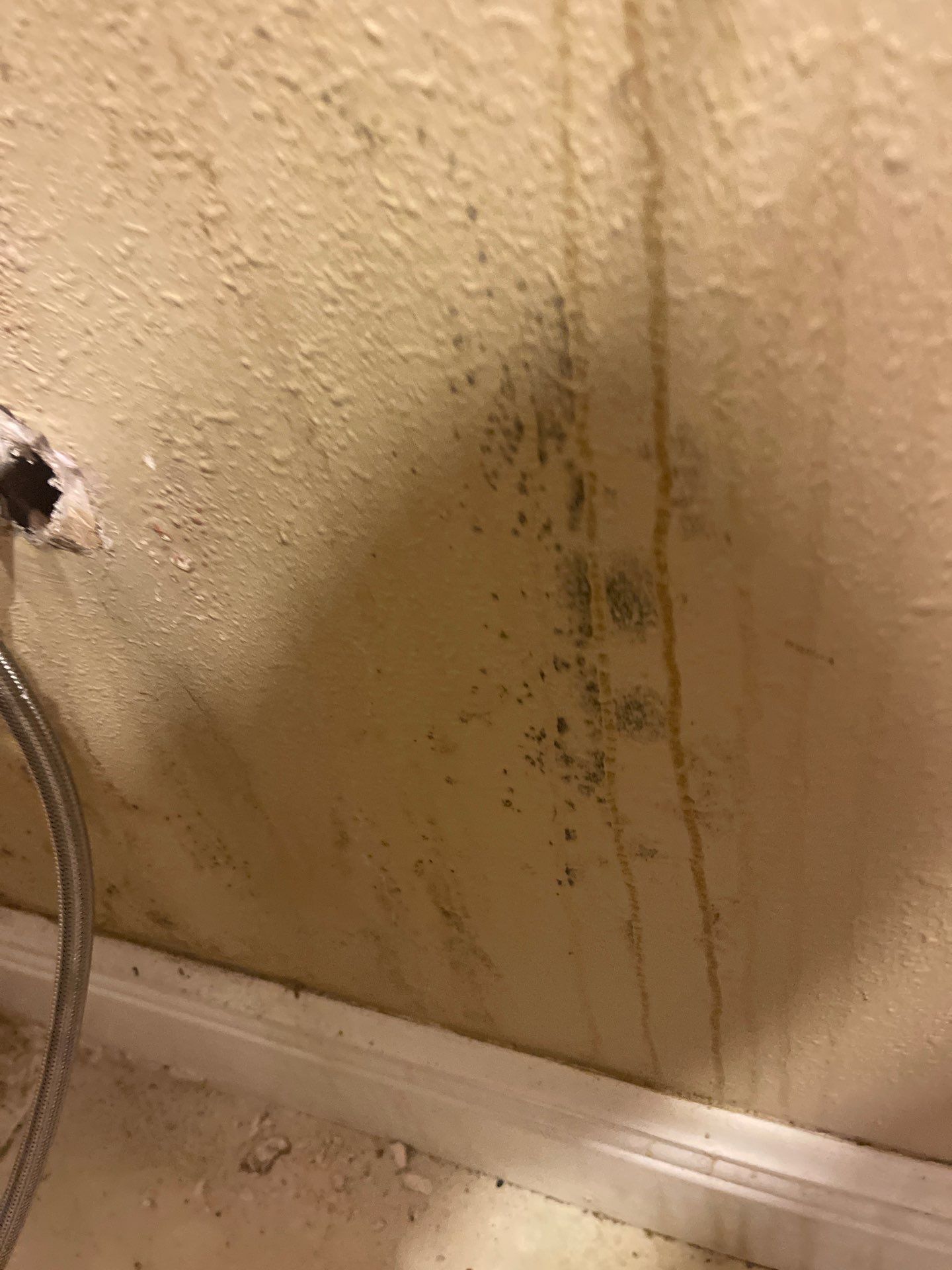 Mold remediation and rebuild of kitchen and living areas by Bay Coast Restoration 