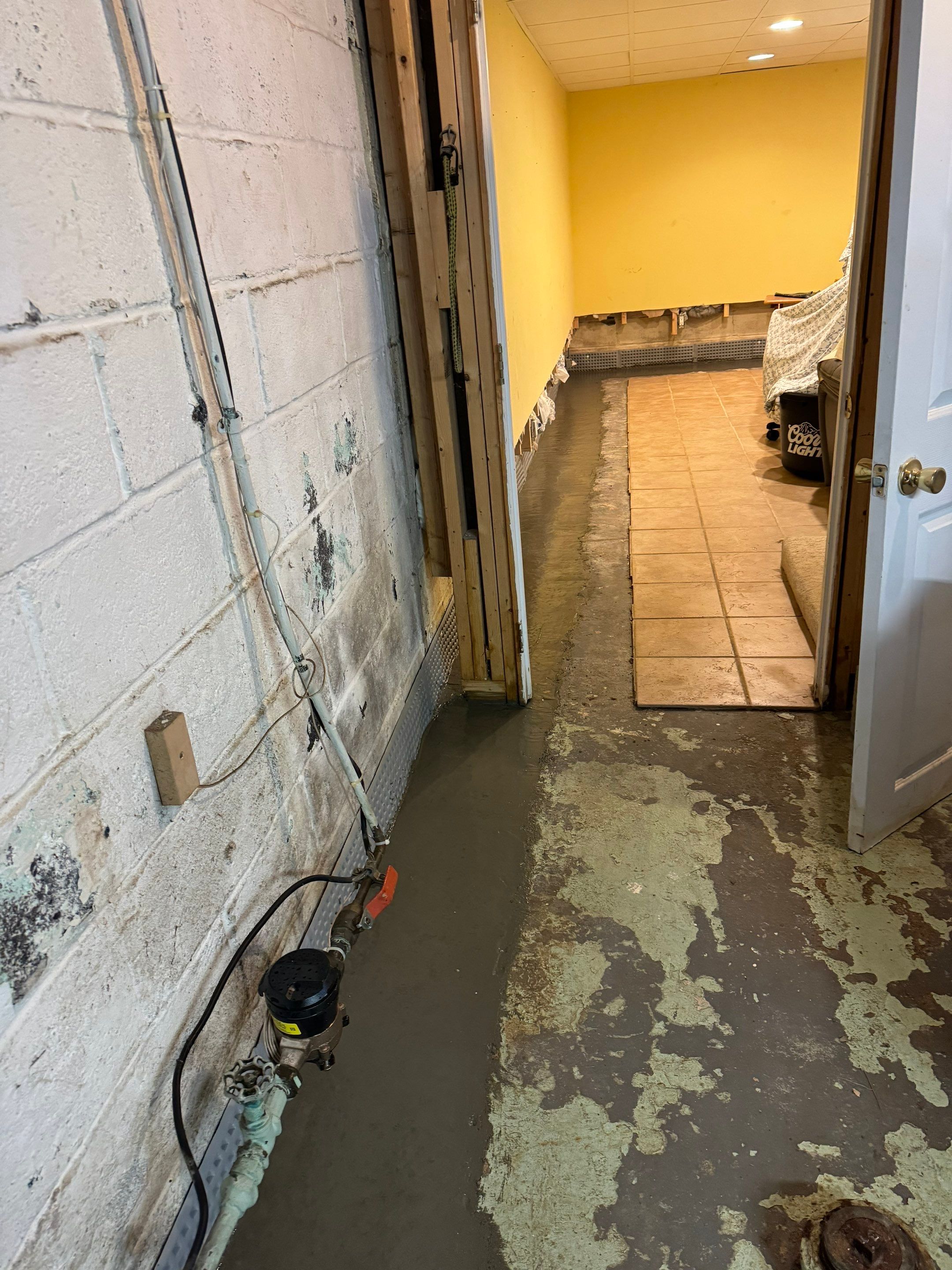 Basement Waterproofing River Edge NJ by Pure Service Pro, LLC 