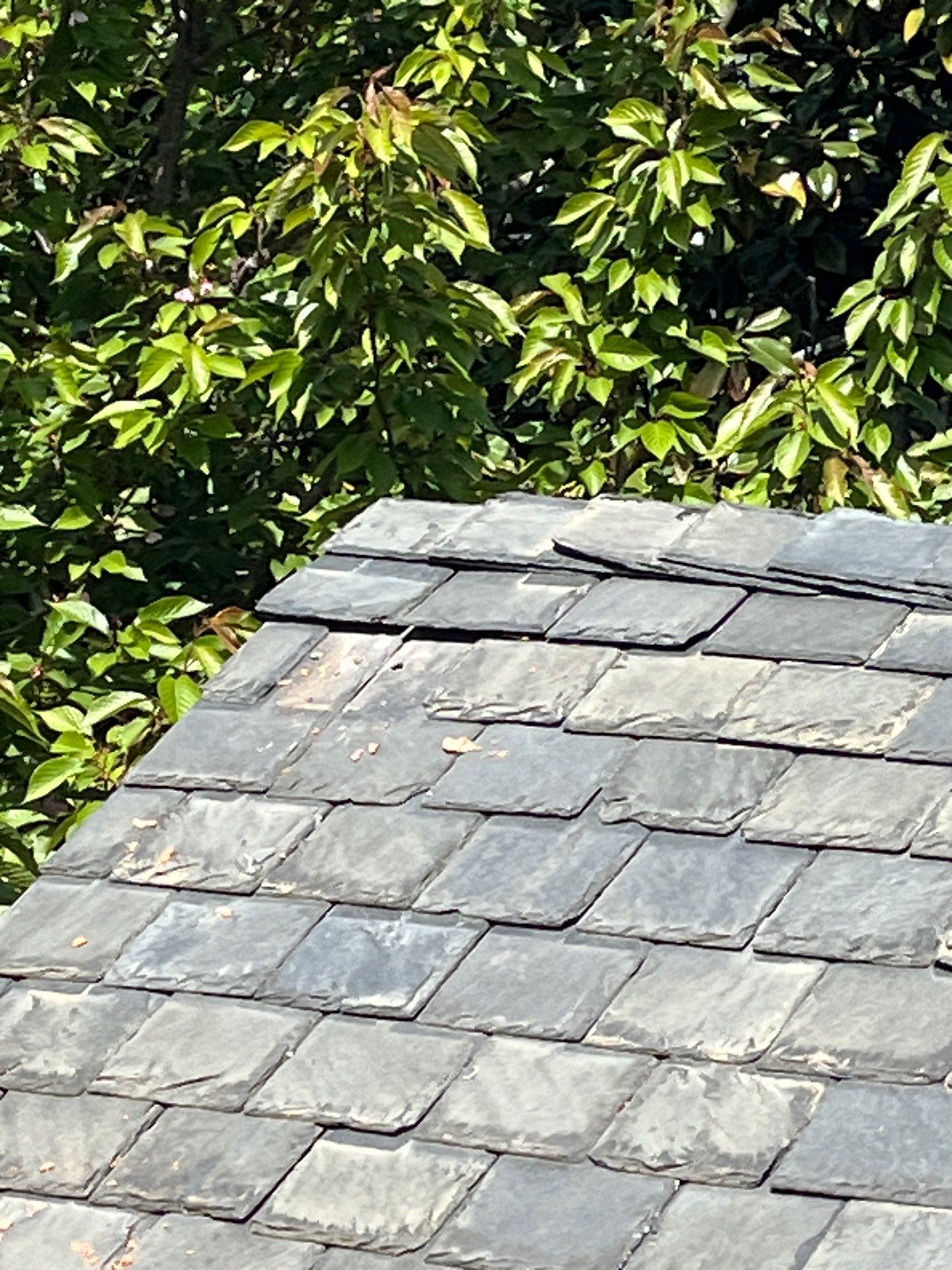 Arlington: Buckingham Slate and Carlisle Syntec TPO Roof by RM Banning, Inc.