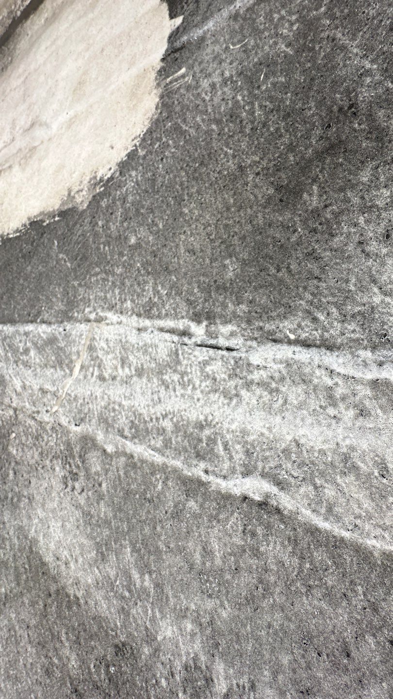 Alexandria: Carlisle Syntec TPO Flat Roof Installation by RM Banning, Inc.