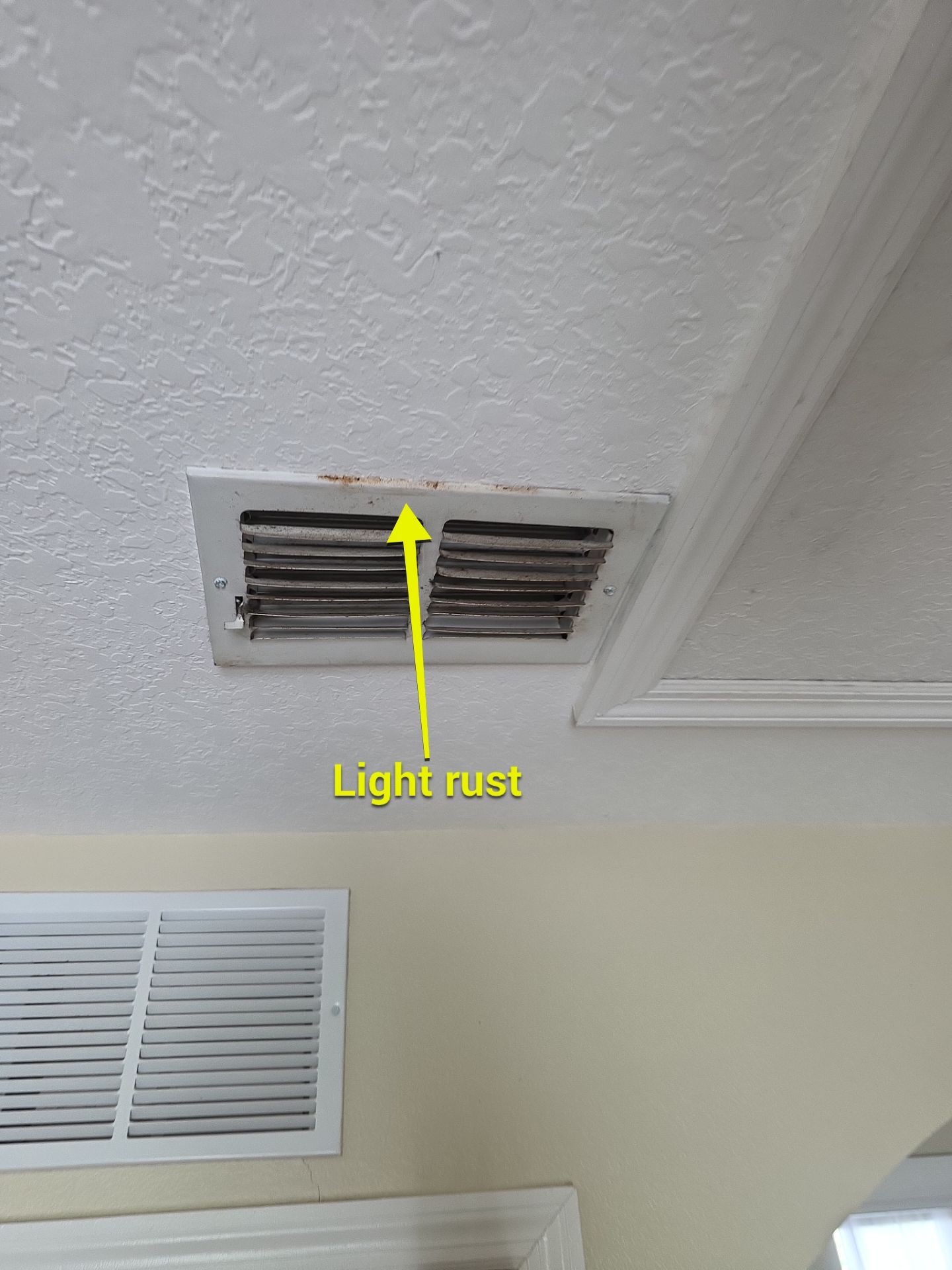 Duct Cleaning in Casselberry by Hygienic Air, Inc