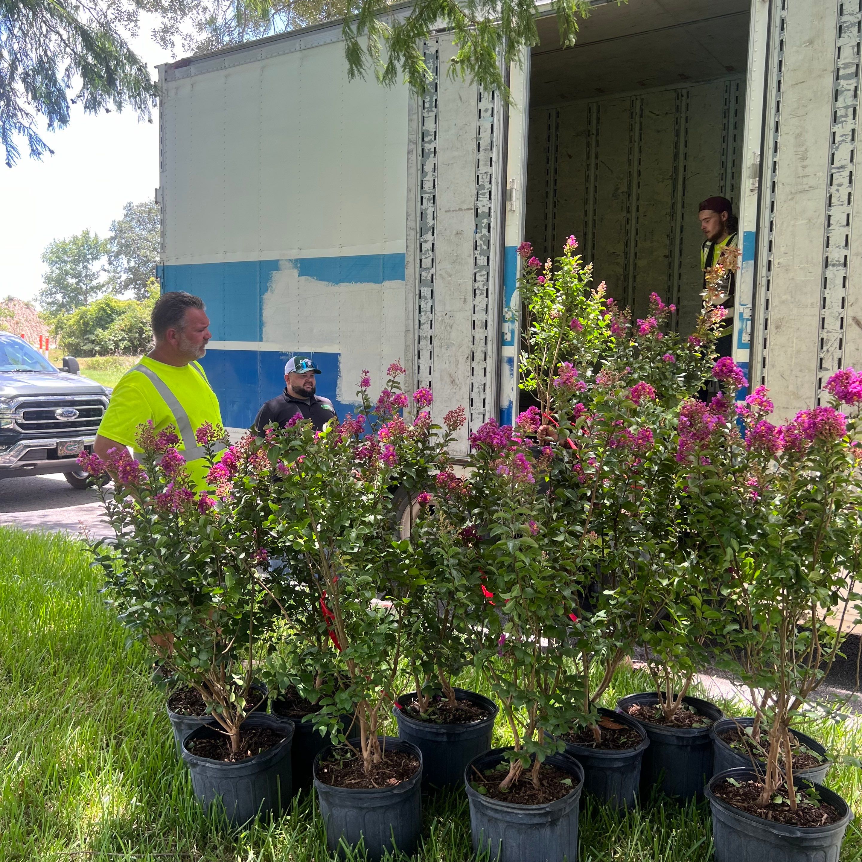 Large Landscape Project | Center Point by ProGreen Services