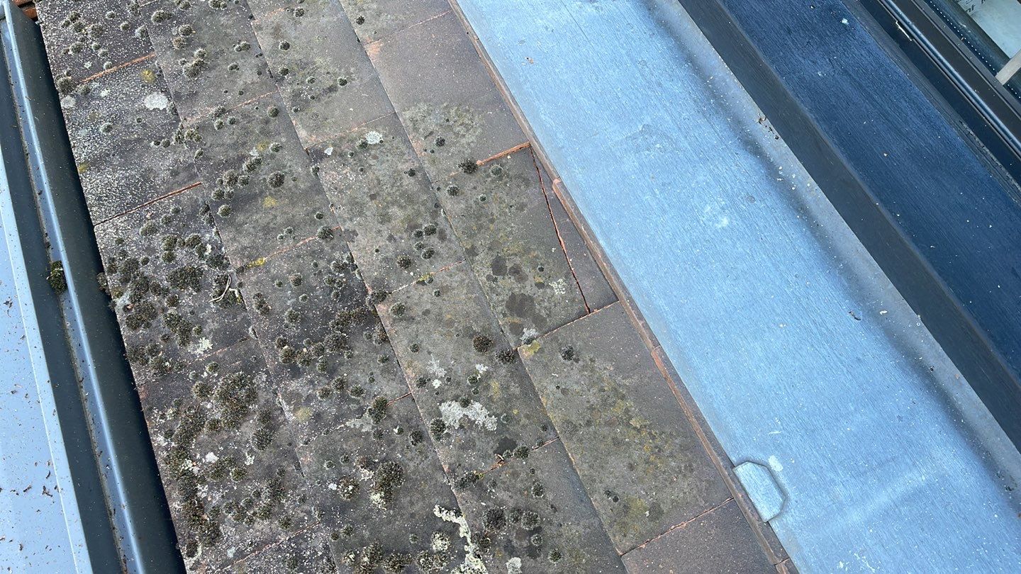 Roof Clean  - Moss Removal - Gutter Clean using Honda 15lpm Low Pressure Washing Machine by Ges Exterior Cleaning ltd