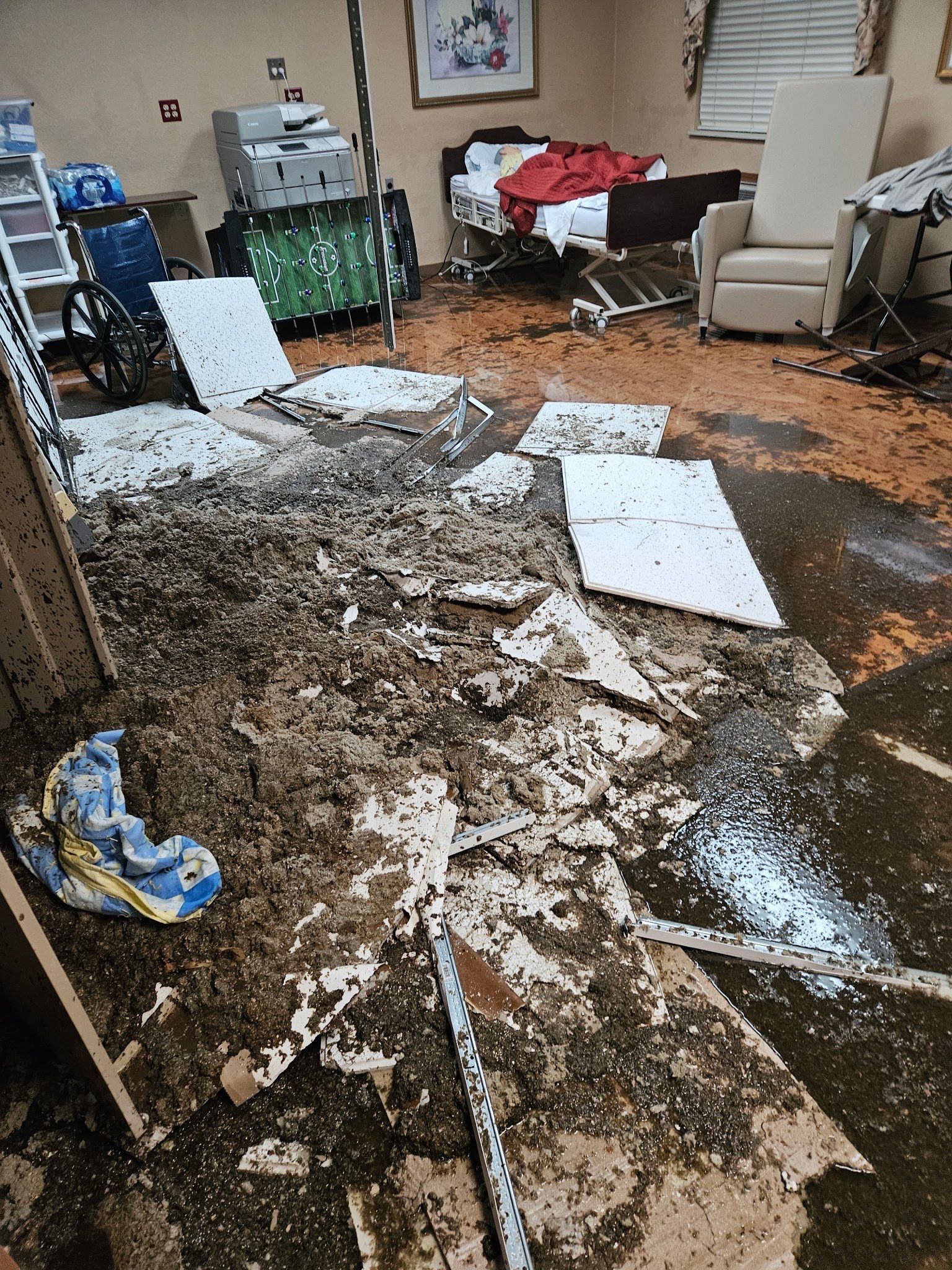 LCCR by BlueRed Restoration