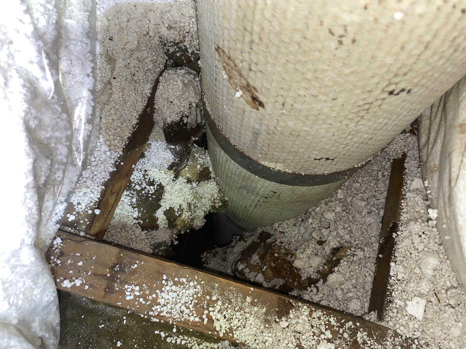 Rodent Clean Up and Attic Insulation Removal in Bolivar, OH 44612 by Home Environment Solutions