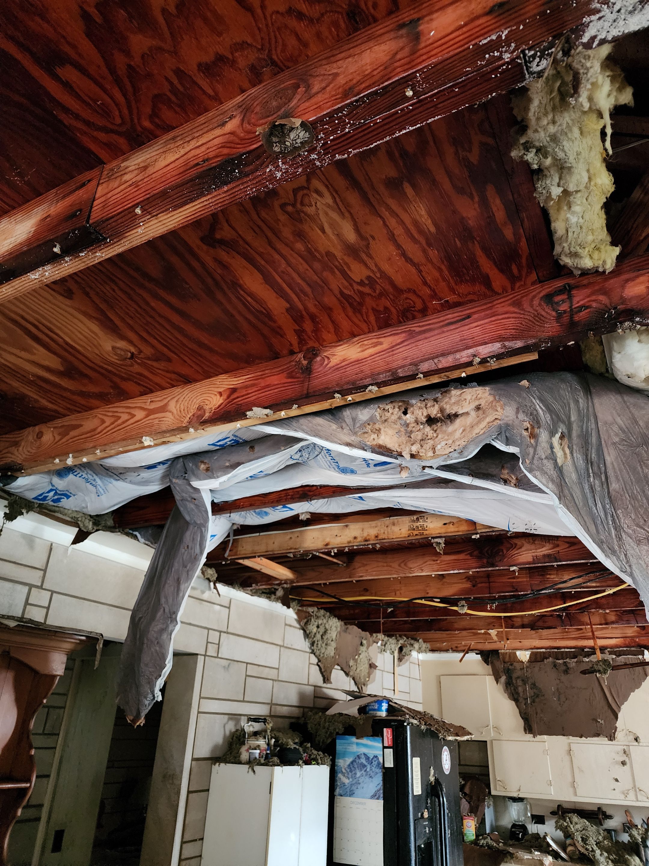 Water Damage Repair in Russellville by Better Than Before Restoration 