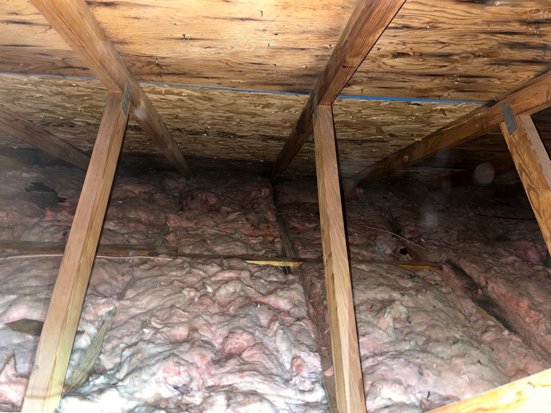 Addressing Attic Mold and Upgrading Insulation in Cranberry Township, PA 16066 by Home Environment Solutions