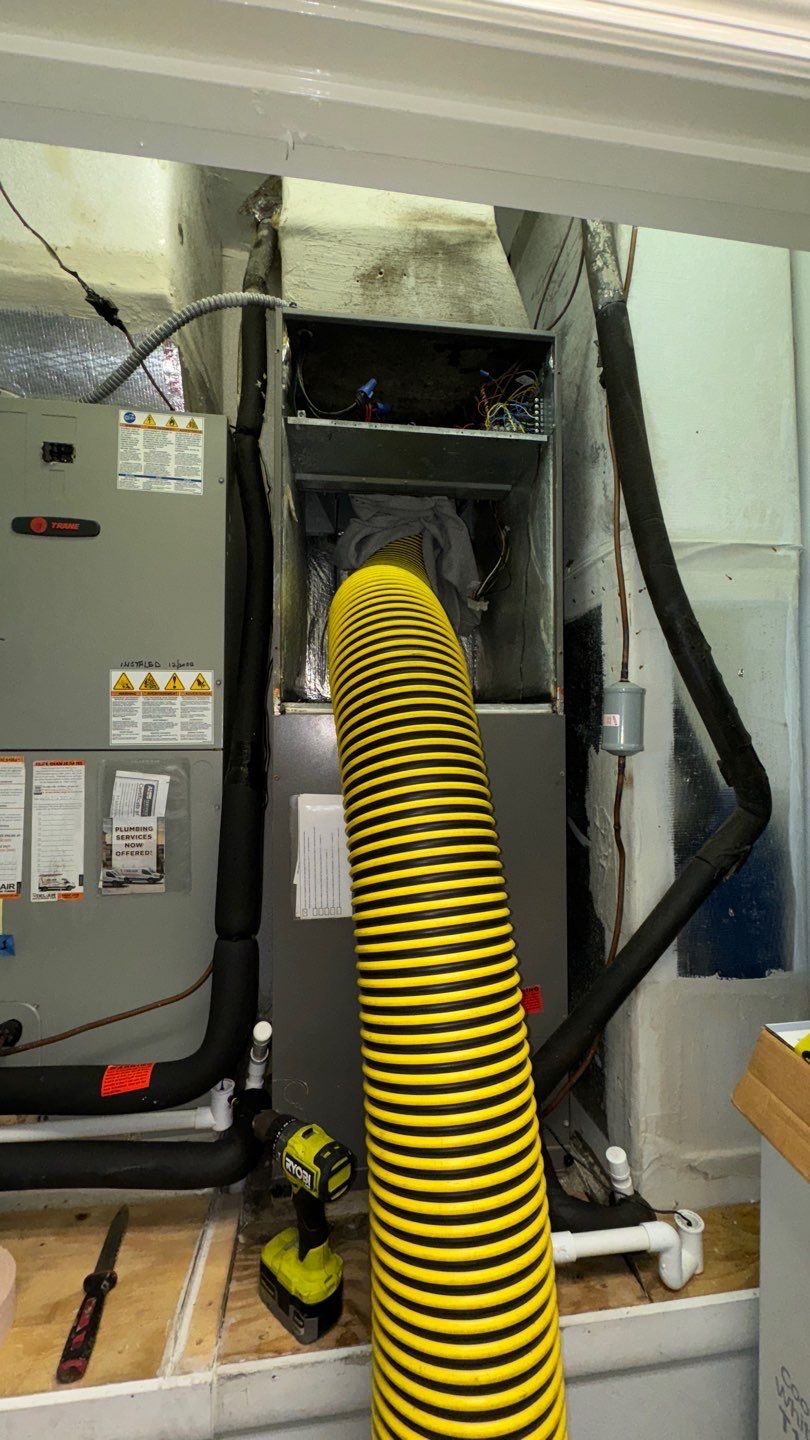 Commercial Air Duct Cleaning in Clermont by Hygienic Air, Inc