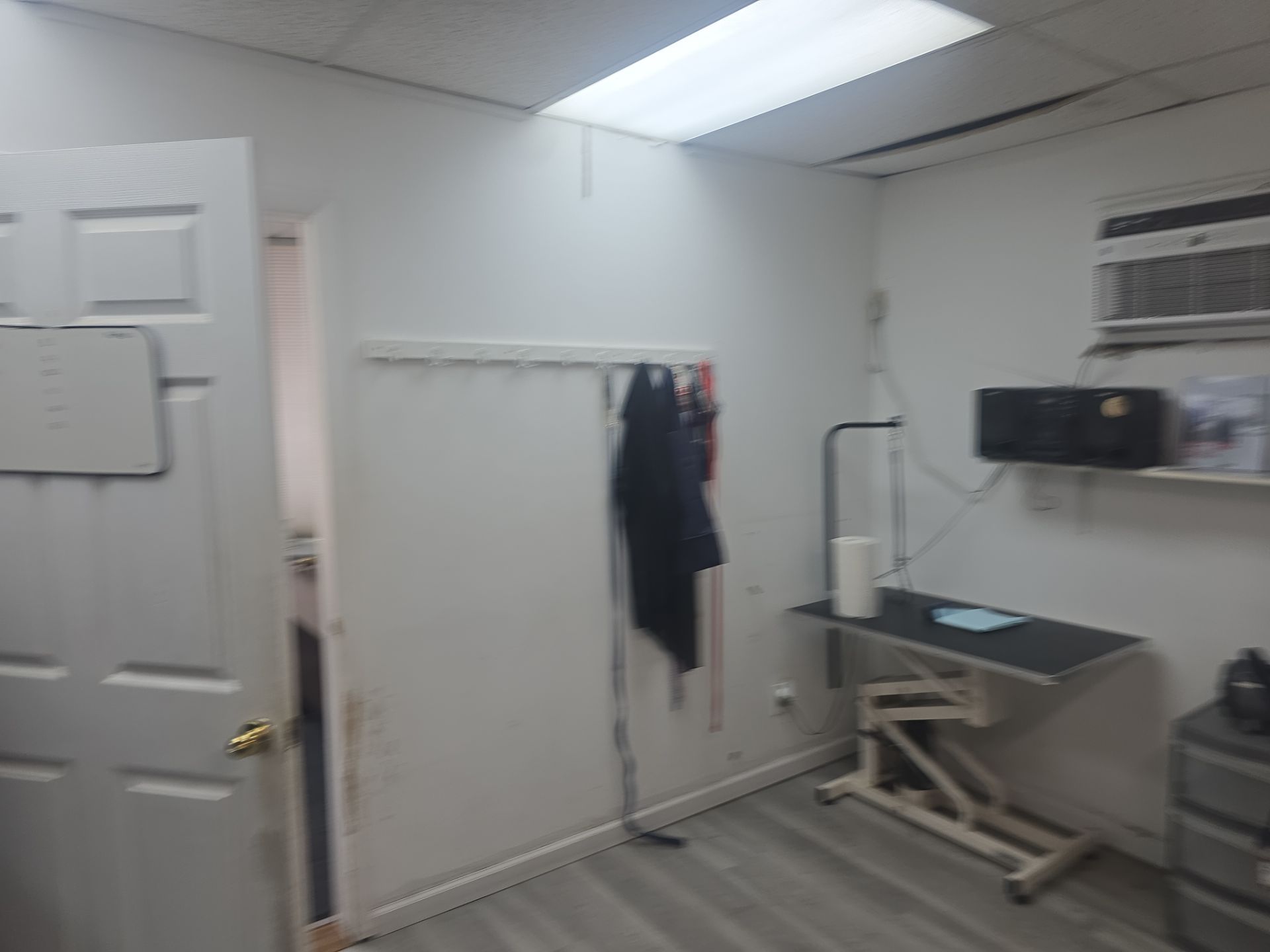 Commercial Interior Painting for Hillsdale Pet Grooming Facility by Spectrum Painting, LLC