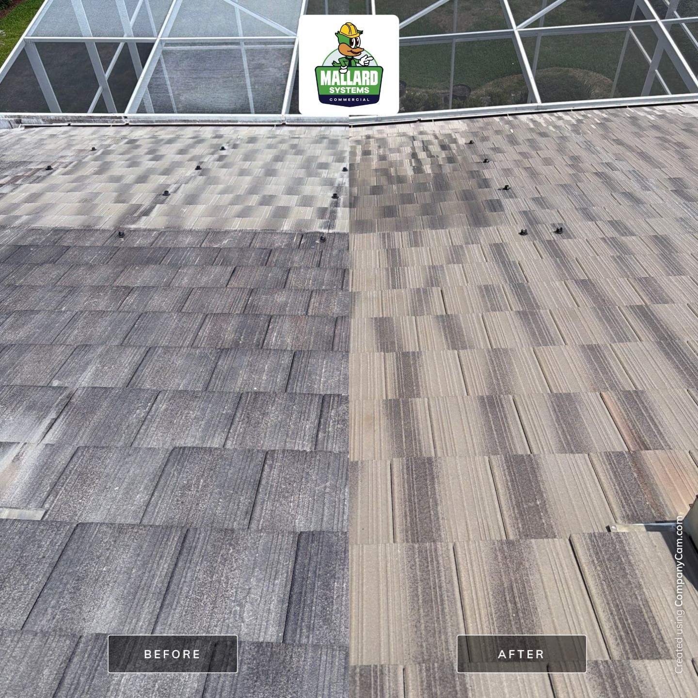 Flat Tile Roof Cleaning by Mallard Systems