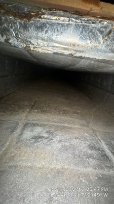 Air Duct & Return Cavity Cleaning in Tavares