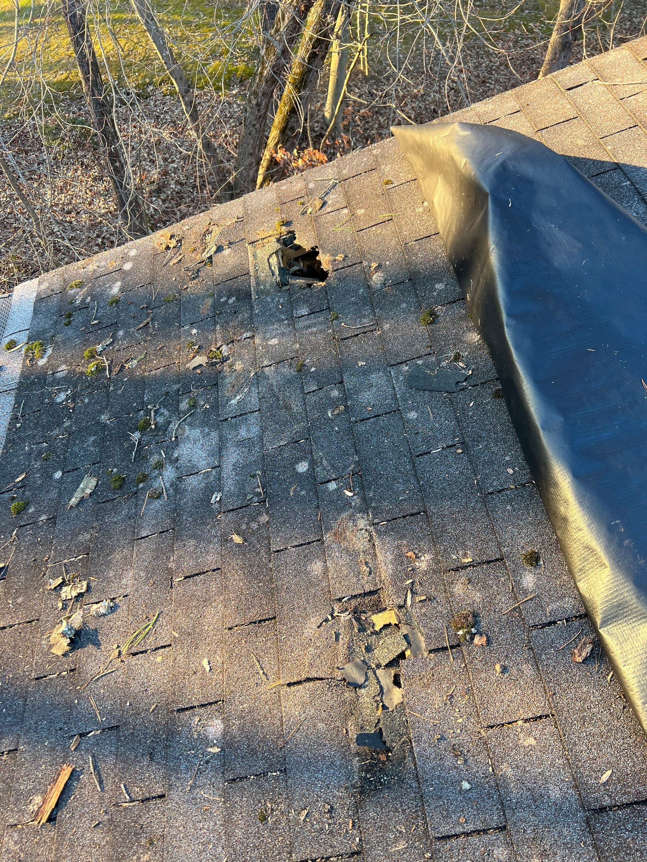 Manassas: CertainTeed Landmark Designer Shingles in Charcoal Black by RM Banning, Inc.