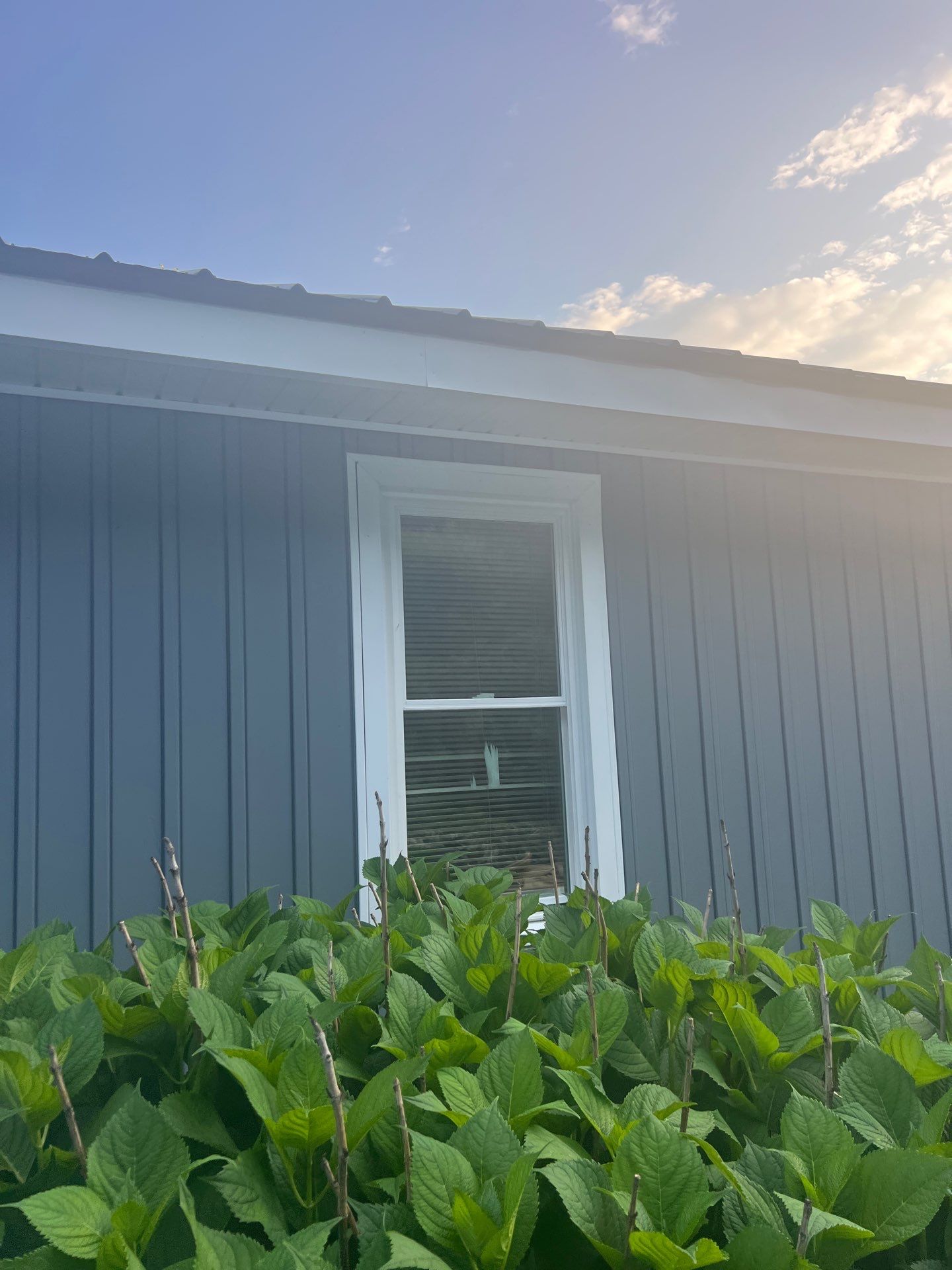 Clawson Residence by Omnia Roofing