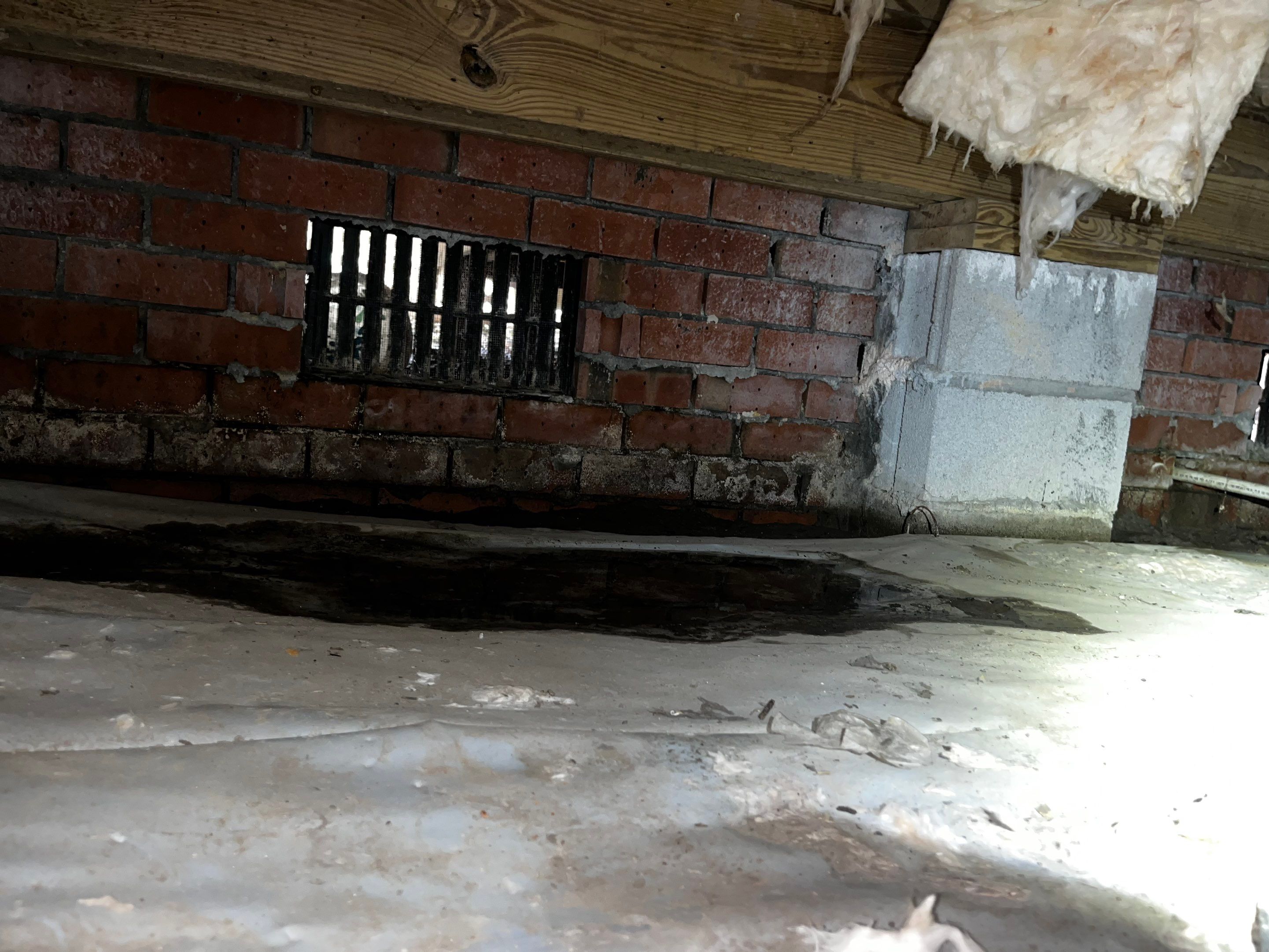 Impact Choice Encapsulation with French Drain and Crawlspace Doors by Impact Crawlspace