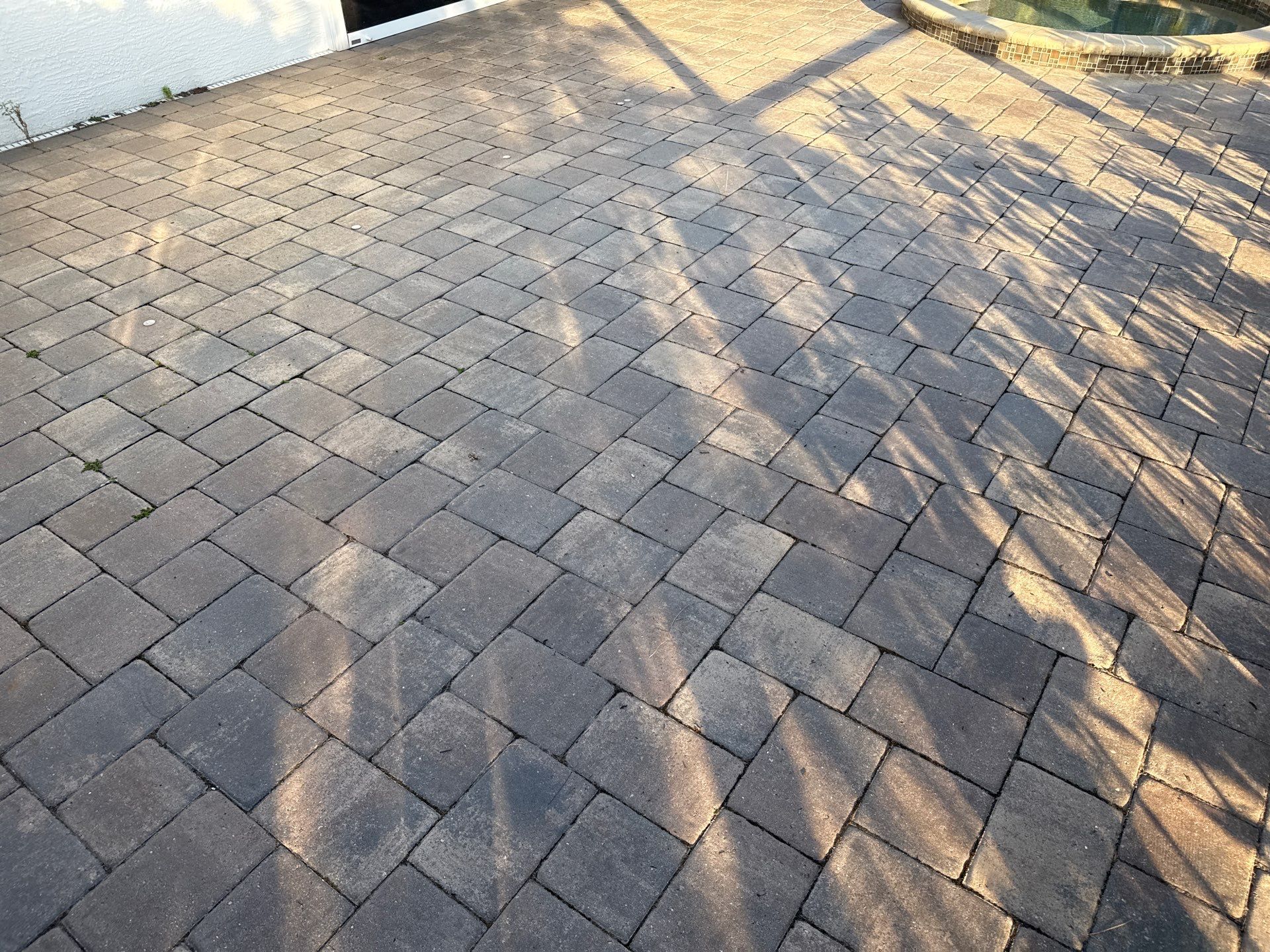 Flat Tile Roof, Paver Pool Deck & Driveway Cleaning | Cove at Twin Rivers, Parrish FL by Sunshine AquaWash