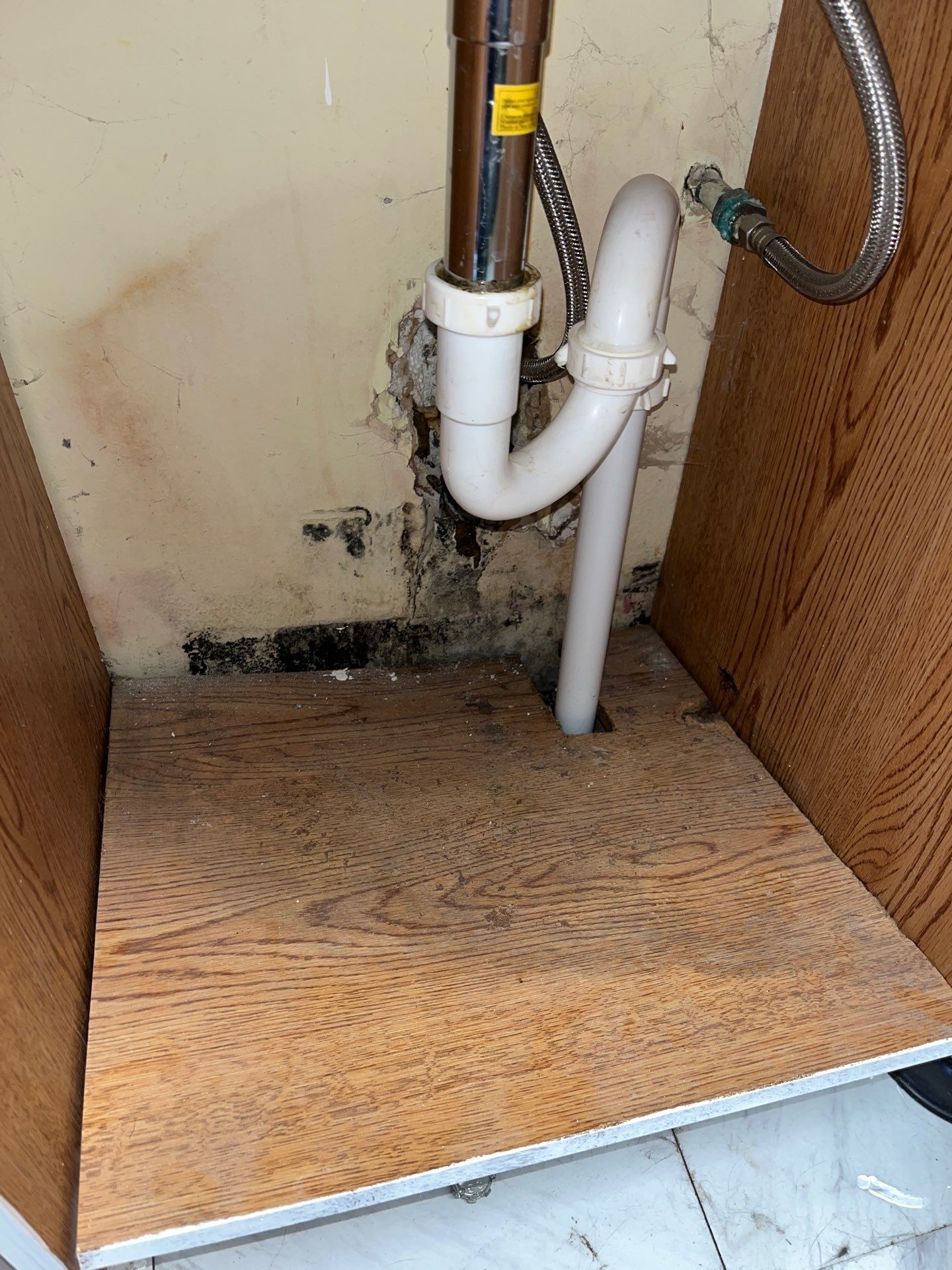Pittsburgh Attic Insulation Upgrade and Comprehensive Mold Remediation by Home Environment Solutions