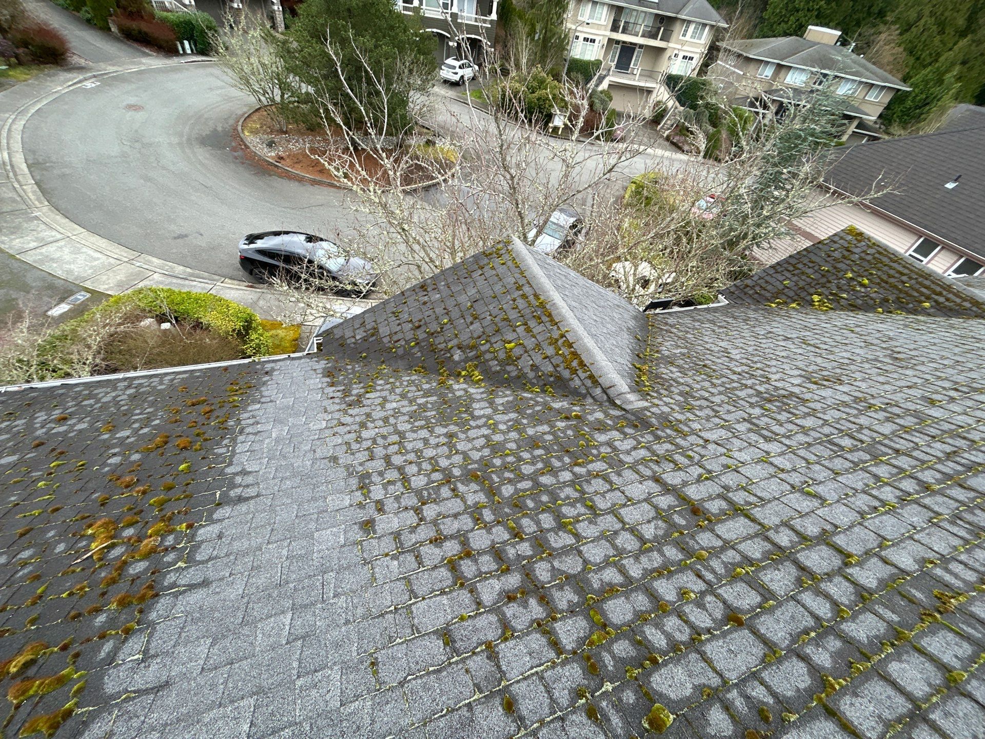 Project in Bellevue by Peaks and Valleys Construction