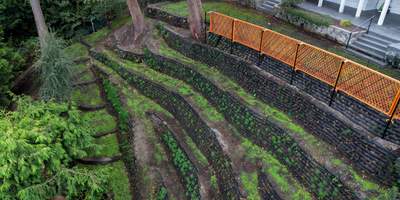 Georgia Park Terrace — Living Slope Transformation