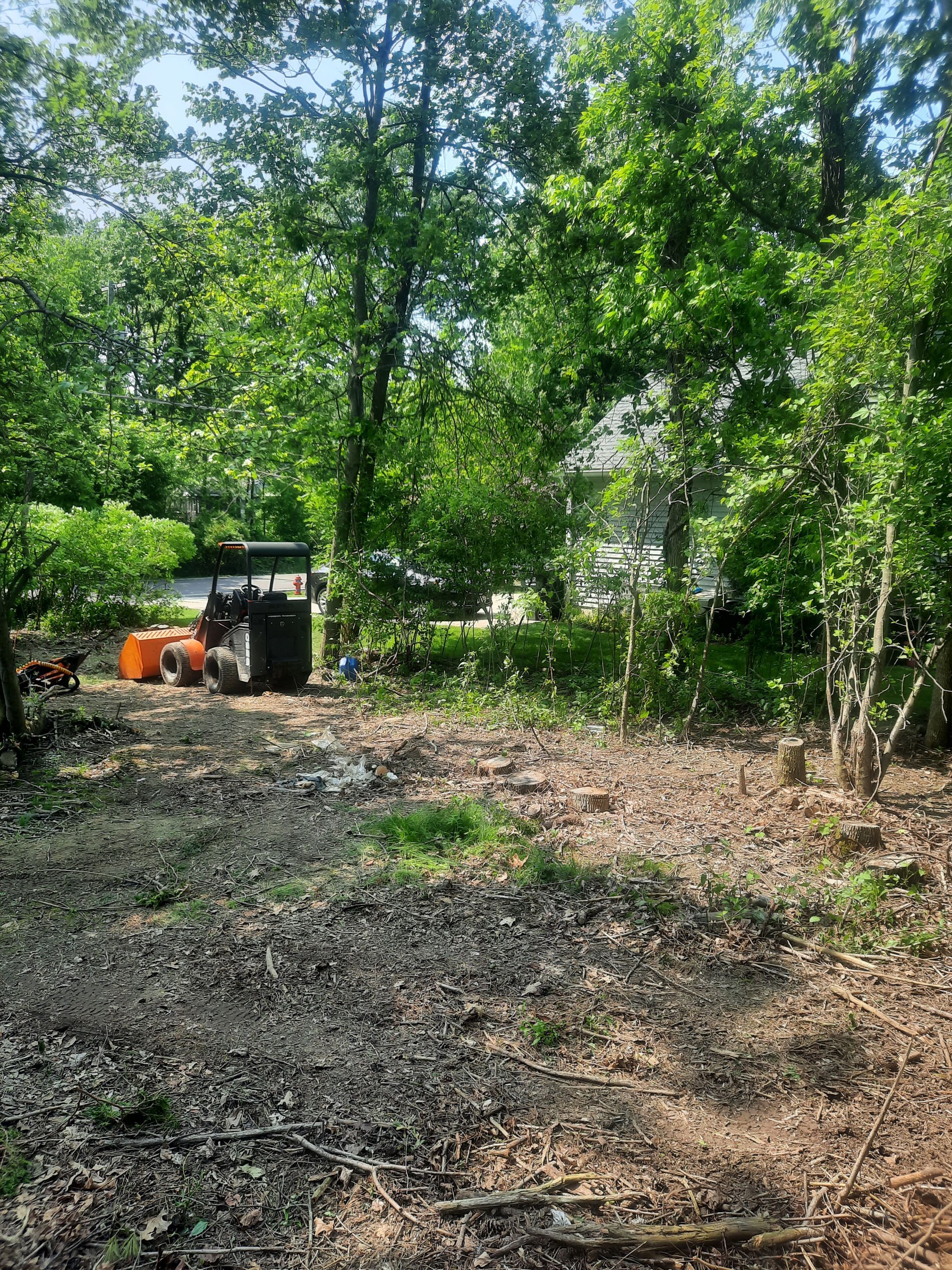 Tree Removal using Tree Removal by Mike Jones & Sons Tree Service LLC 