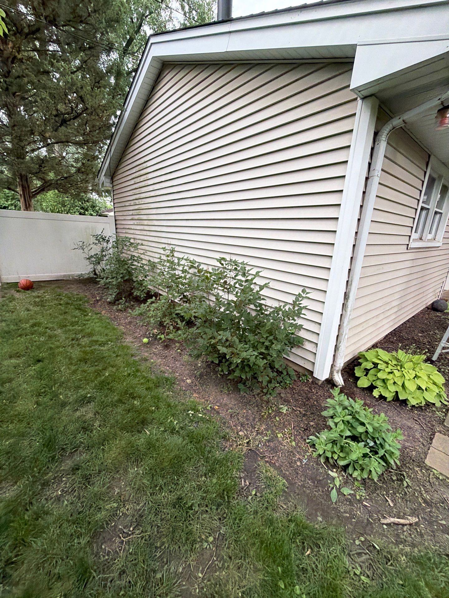 Lauren T. - Arlington Heights, IL by A&N