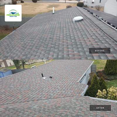 Hickory Shingles