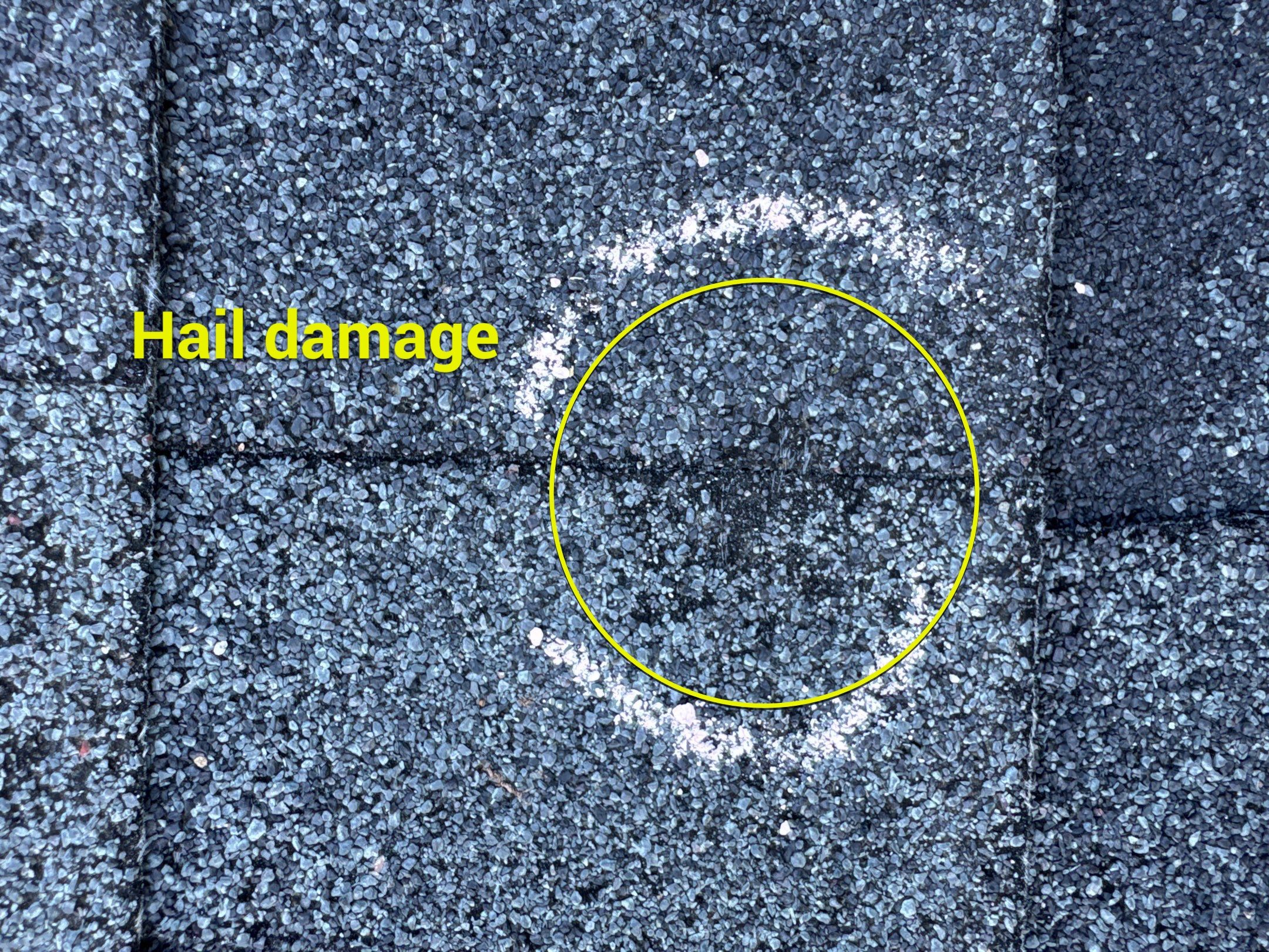 Chyleen Feagin by Tru-Built Roofing