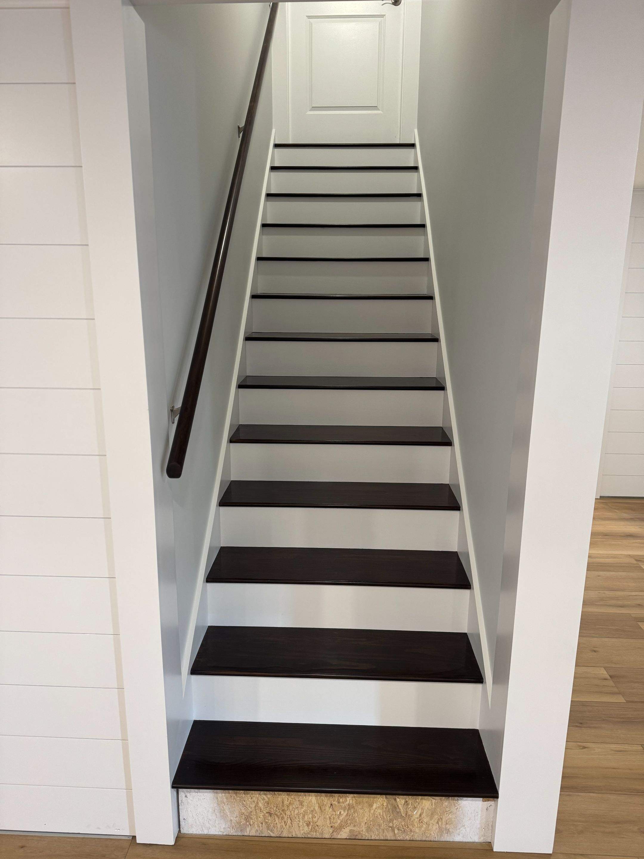 Basement Remodel by Big Pine Panting Inc
