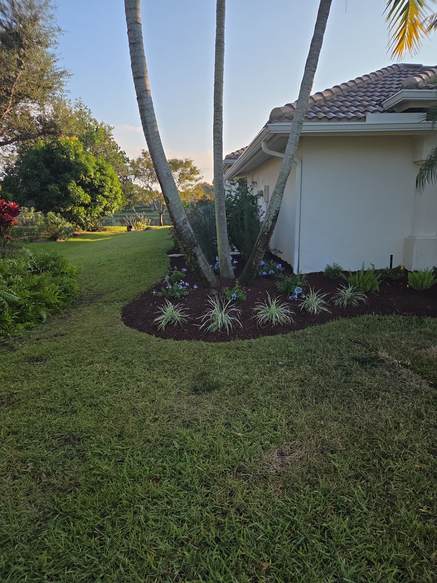 🌴 Landscape Removal and Install in Palm City by Alpha Zeta Enterprises Inc