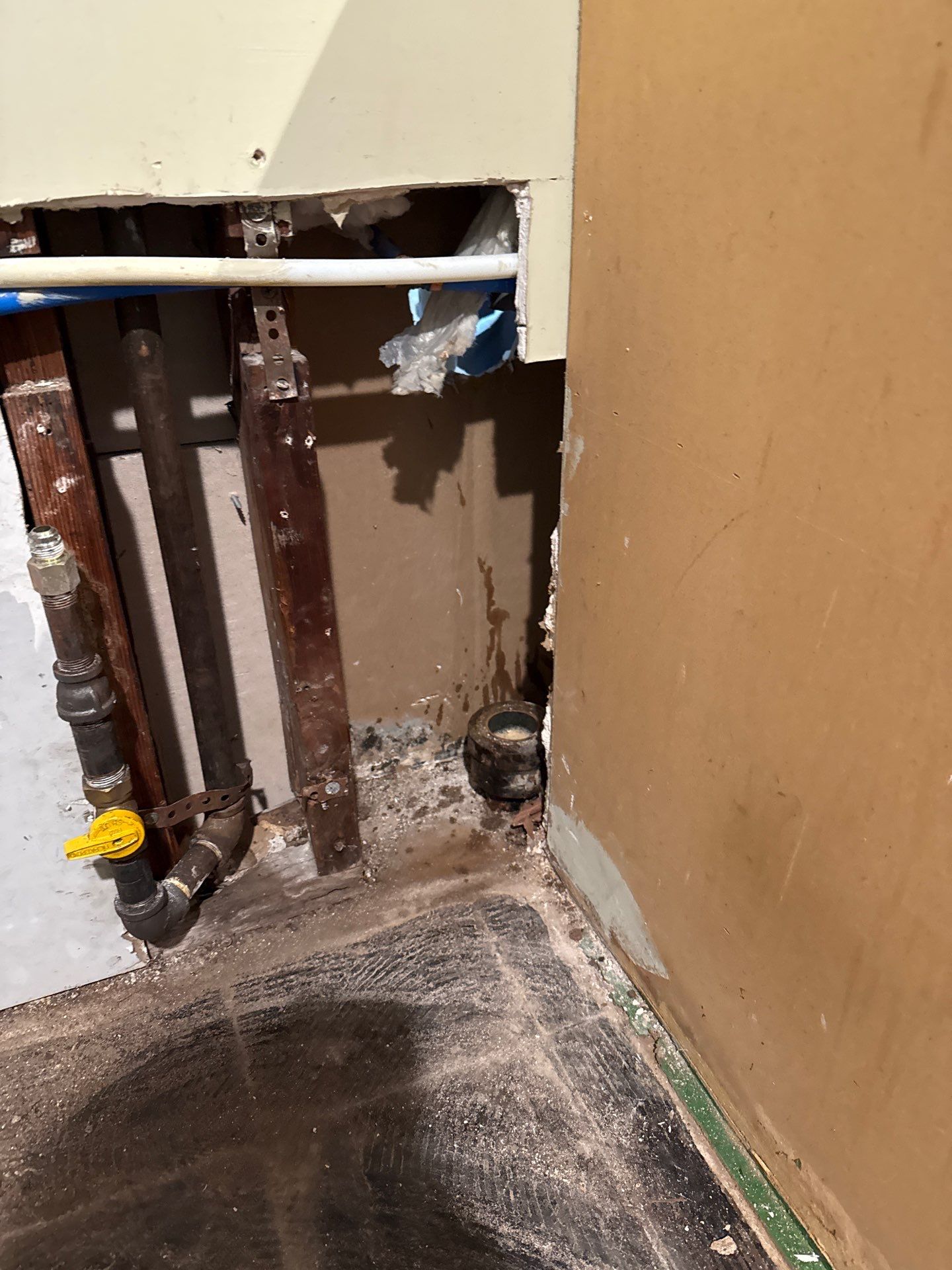 Project by PRO-ROOTER by PRO-ROOTER