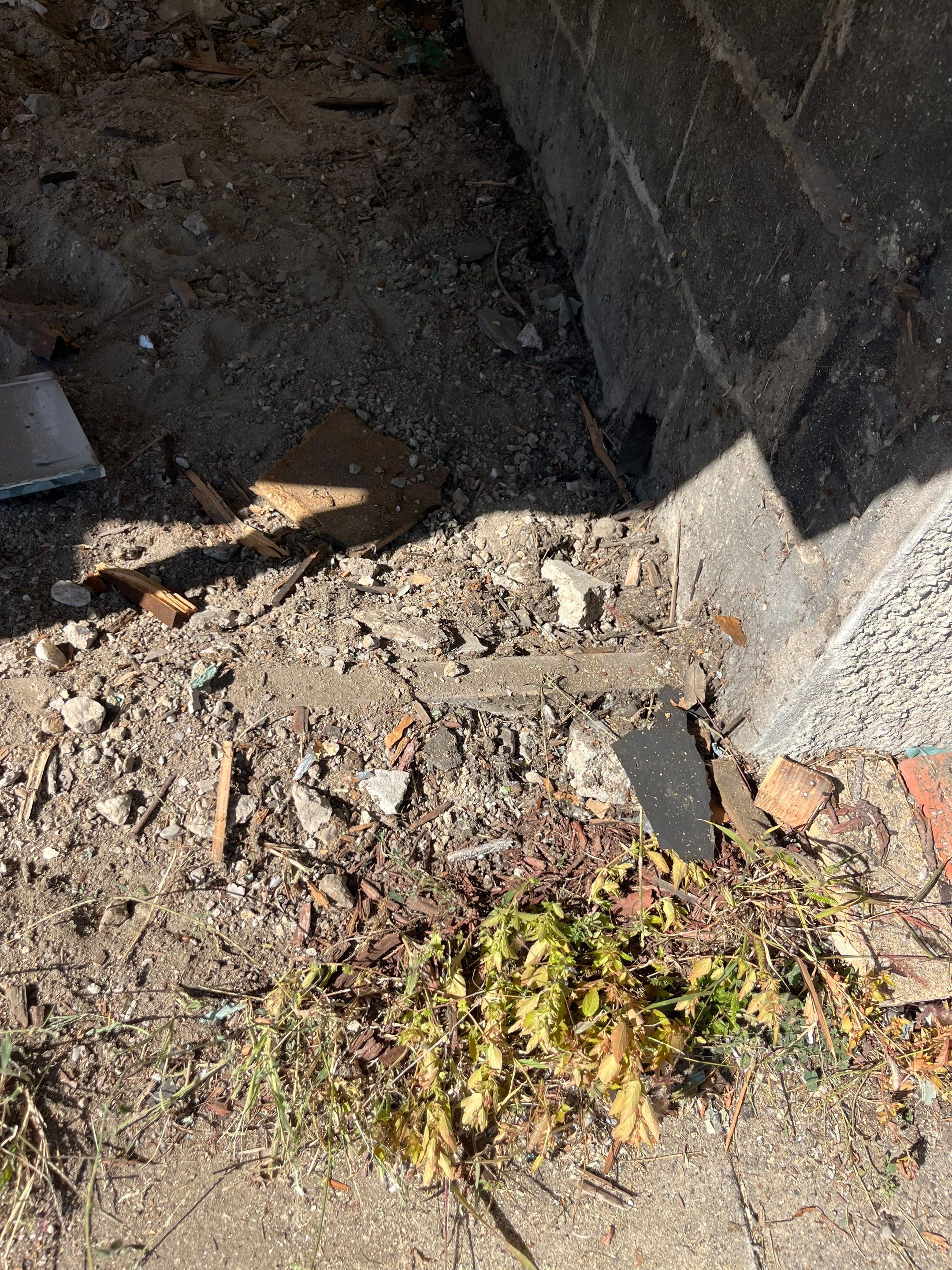 Roof/deck Rehab - Detroit  by Jones Cleaning Services