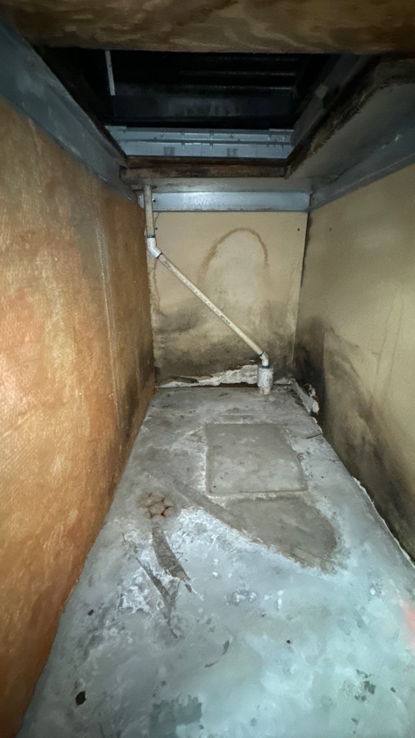 Commercial Air Duct Cleaning in Tavares by Hygienic Air, Inc
