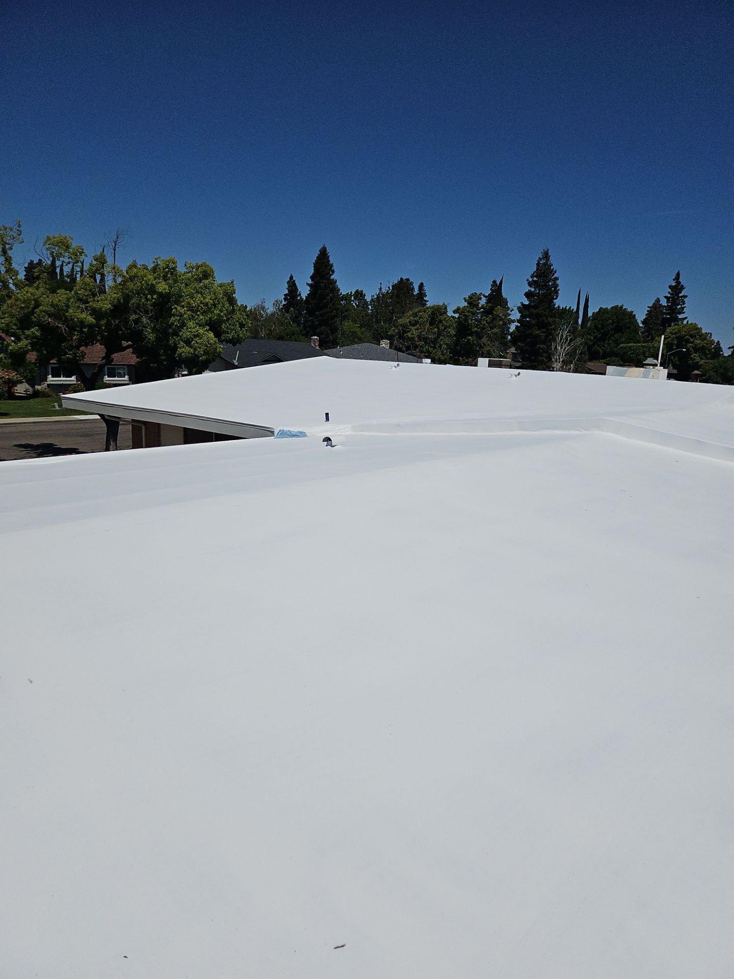 Single-ply restoration system using Benchmark/PUMA XL coatings over TPO single-ply roofing by Straight Edge Roofing Inc