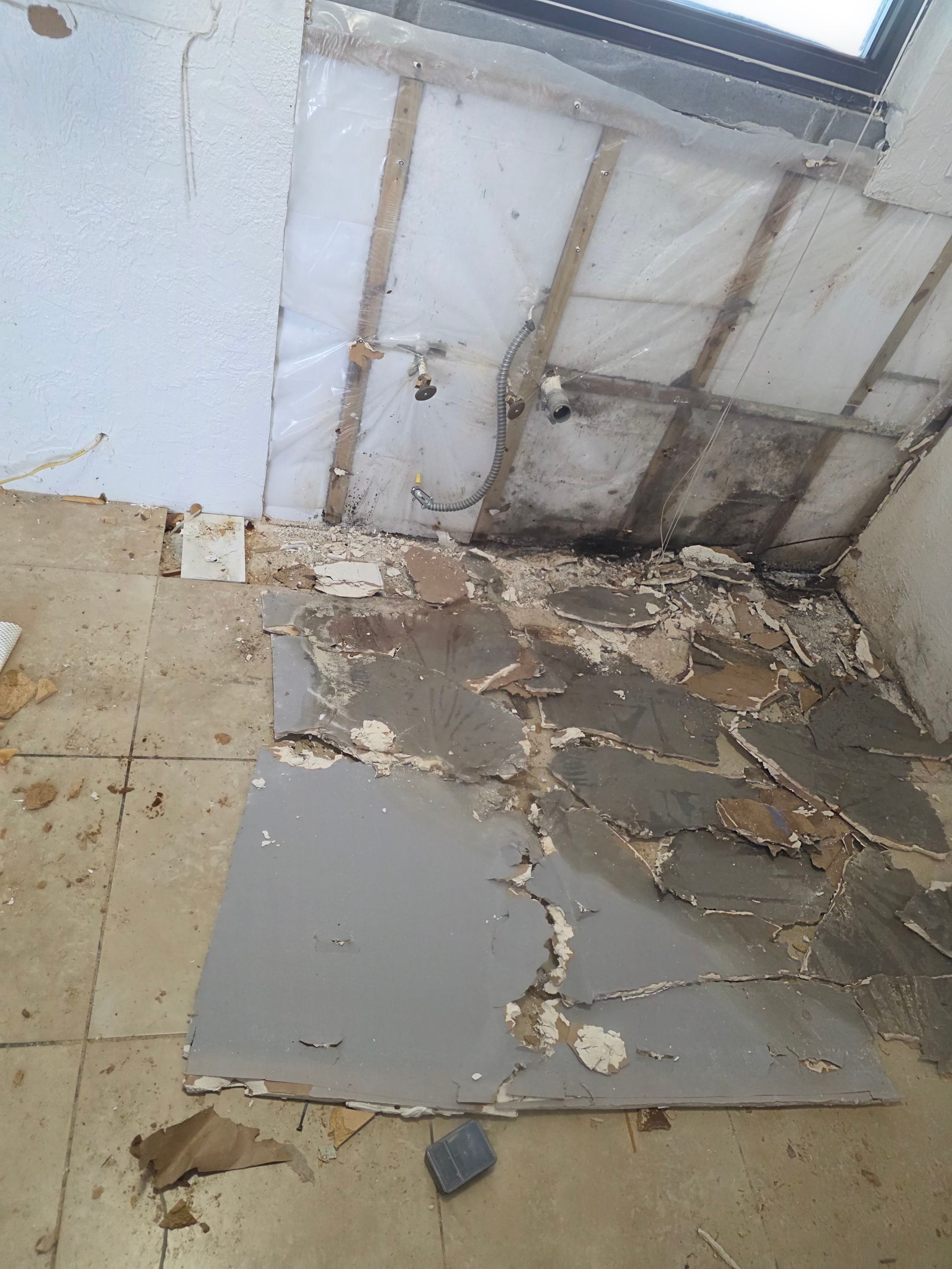 Project in St. Petersburg by Bay Coast Restoration 