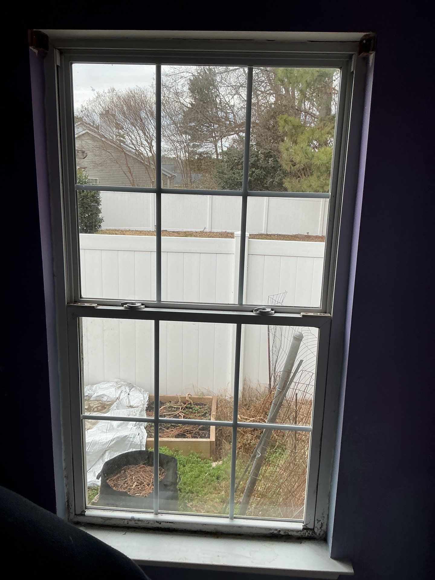 Project in Apex by Window Works