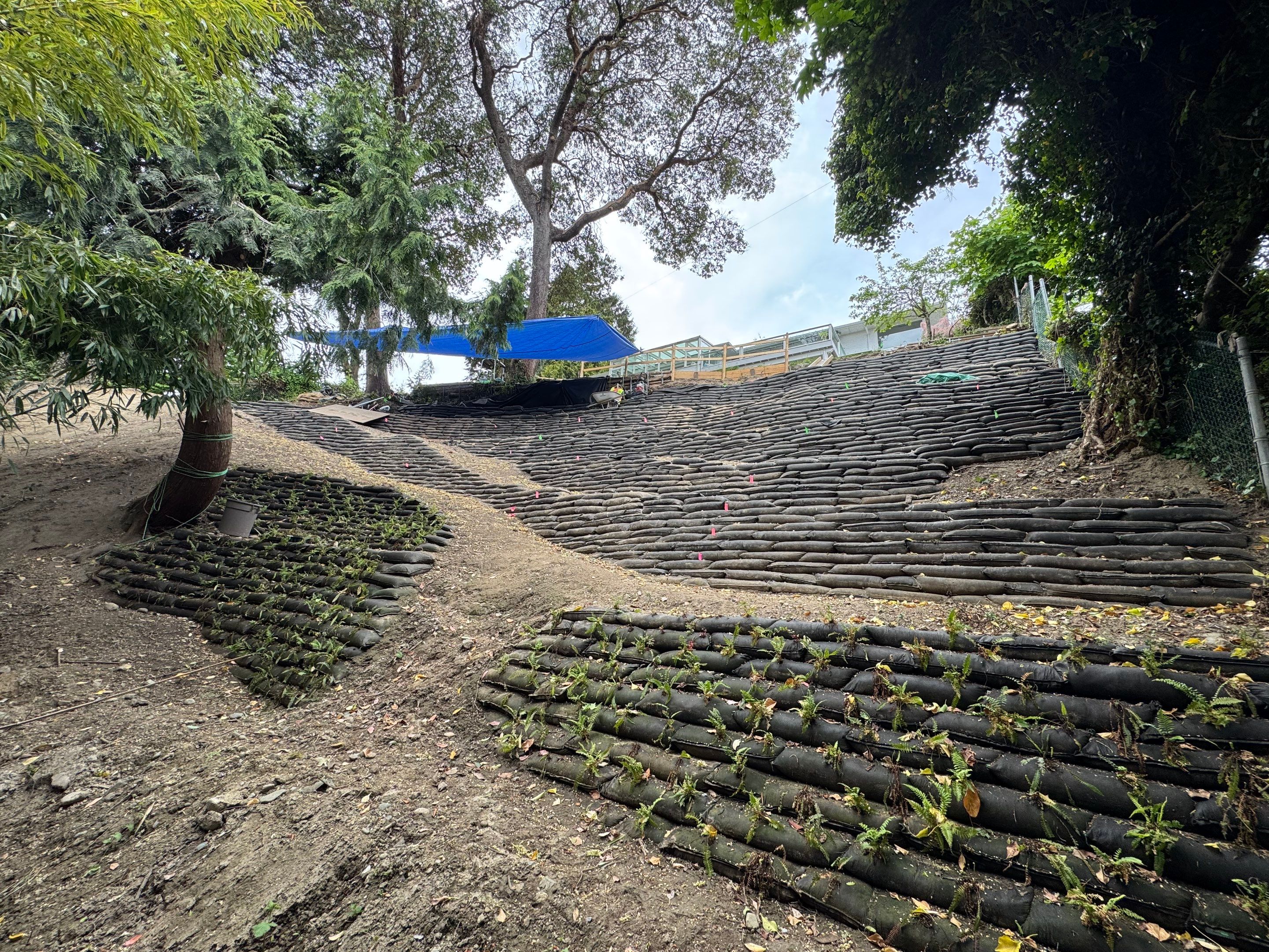 Georgia Park Terrace — Living Slope Transformation by Habanero Landscape Solutions