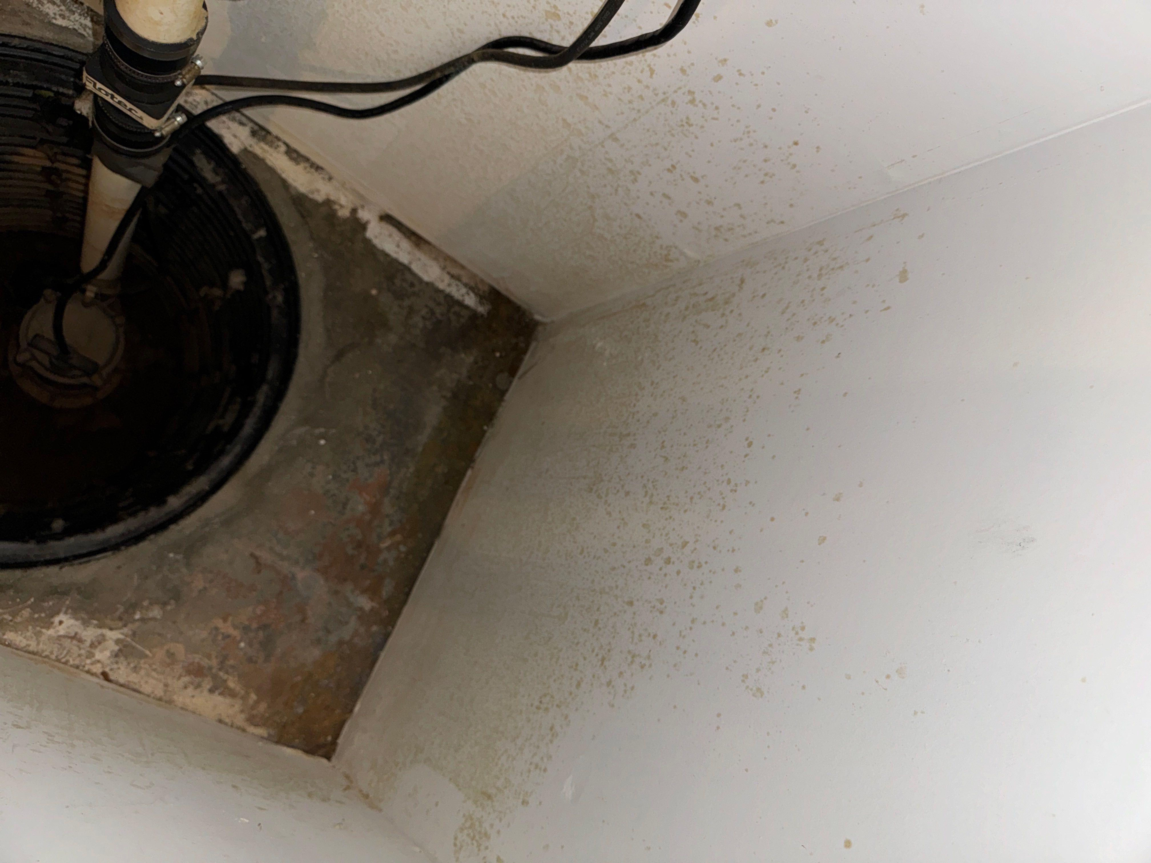 Basement Waterproofing River Edge NJ by Pure Service Pro, LLC 