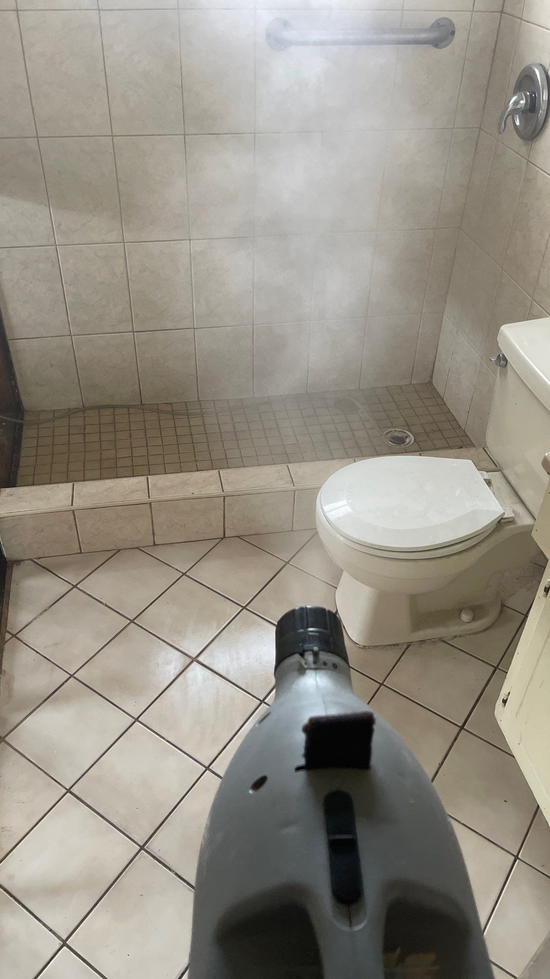 Mold Remediation  by THE RAPID TEAM