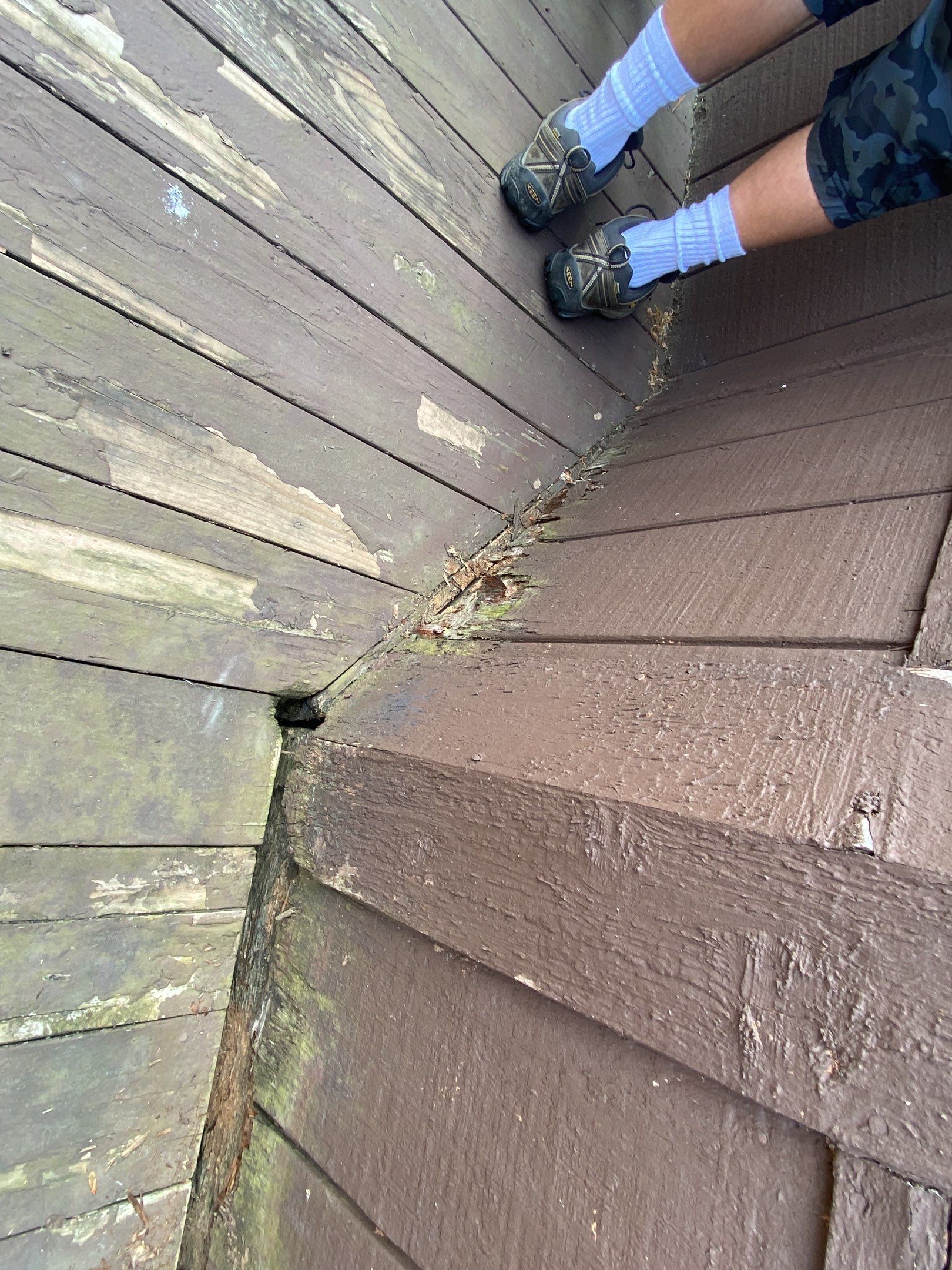 Siding Replacement using CertainTeed Restoration Classis D4 by 180 Contractors