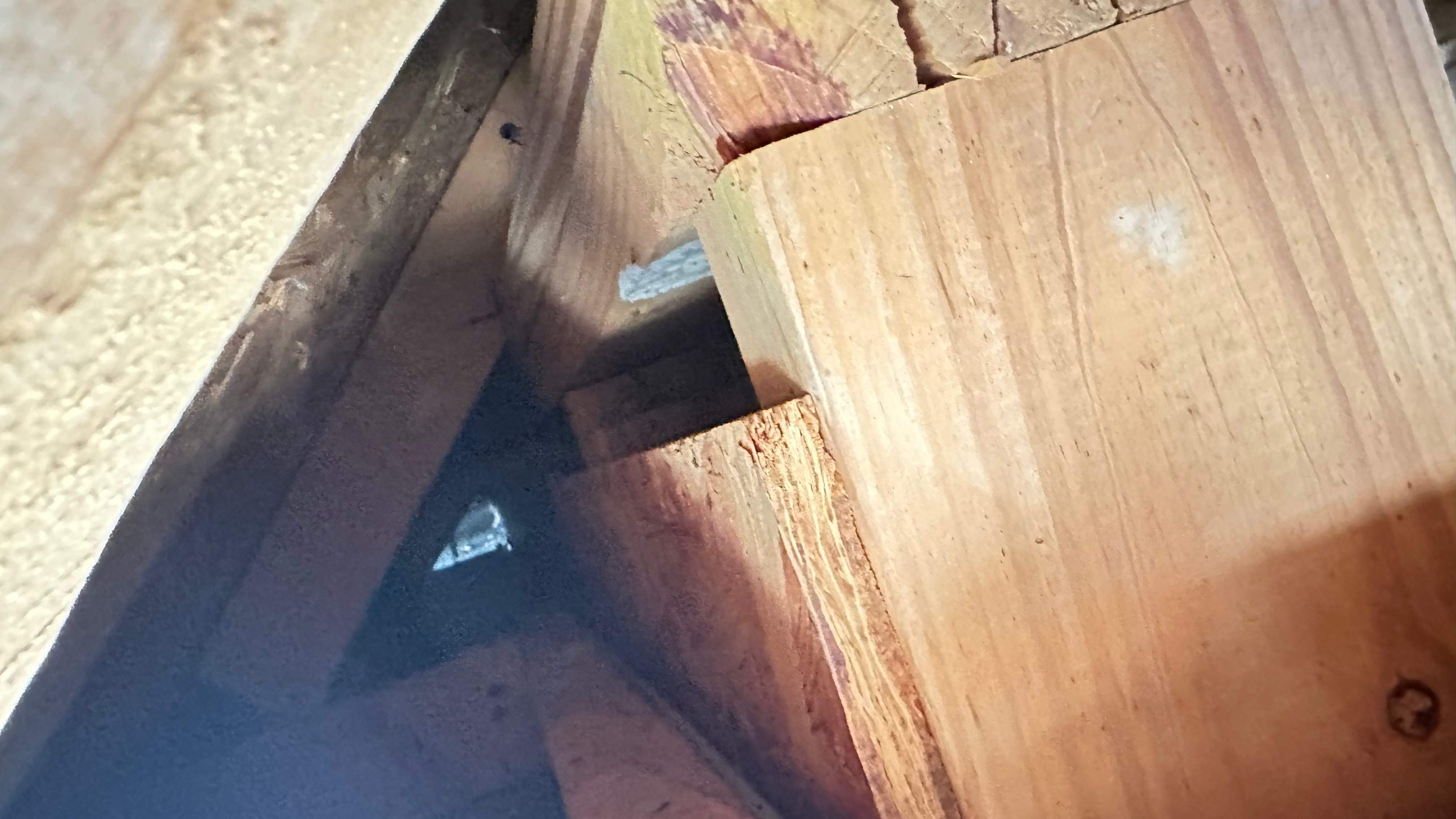 Tall Soffit by Rockwall Honey Bee Company