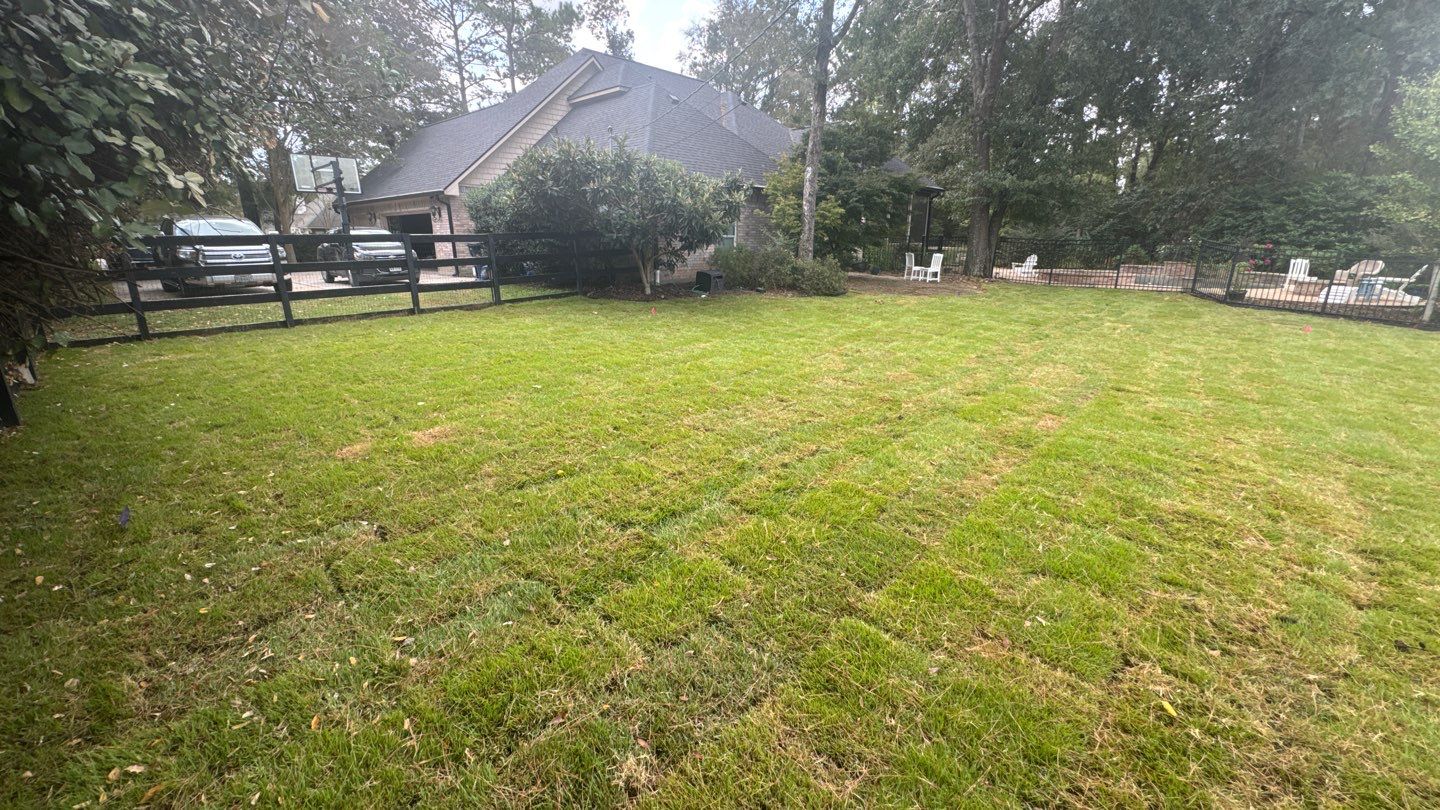 Mr. Jeff — Backyard Drainage & Grading Improvement by Texas Urban Elements