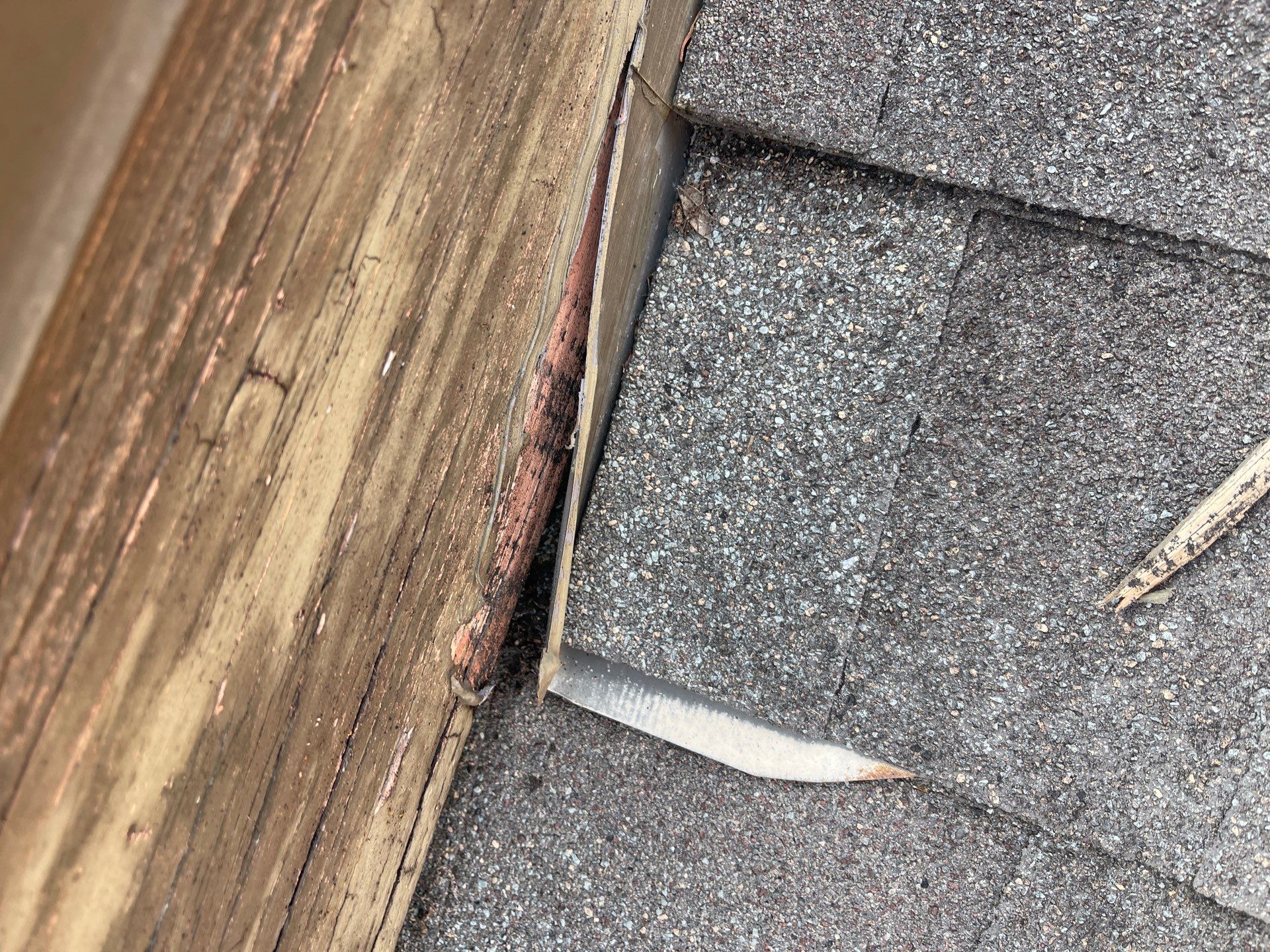 Hail Damage using Owen's Corning Duration (Lifetime) Shingles by Roof Repair Company