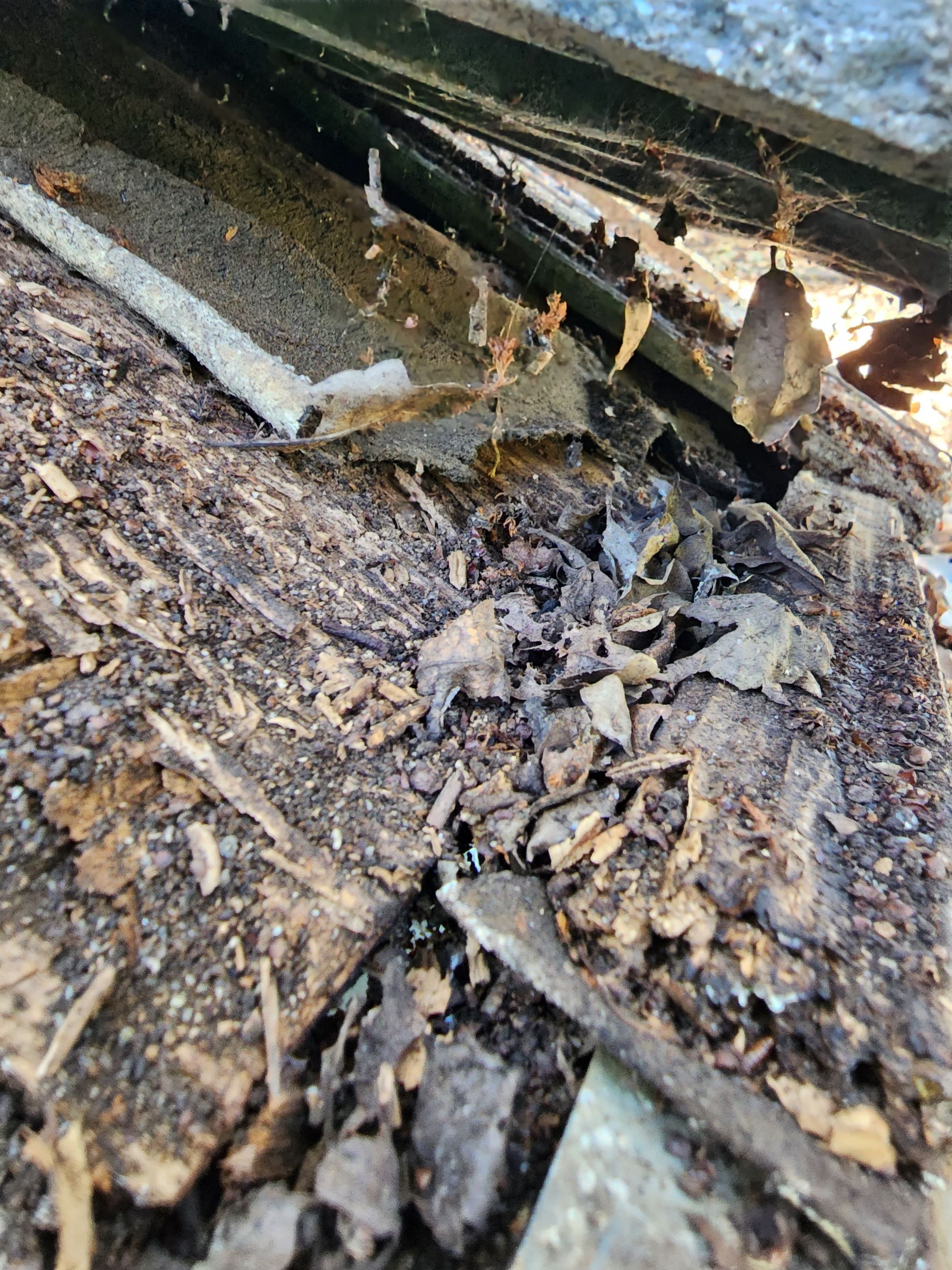 Gutter Installation using Englert LeafGuard Gutters by Byers Enterprises 
