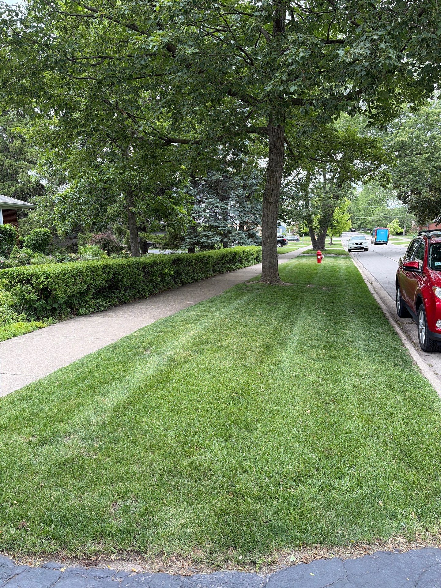 Al K. - Arlington Heights, IL by A&N
