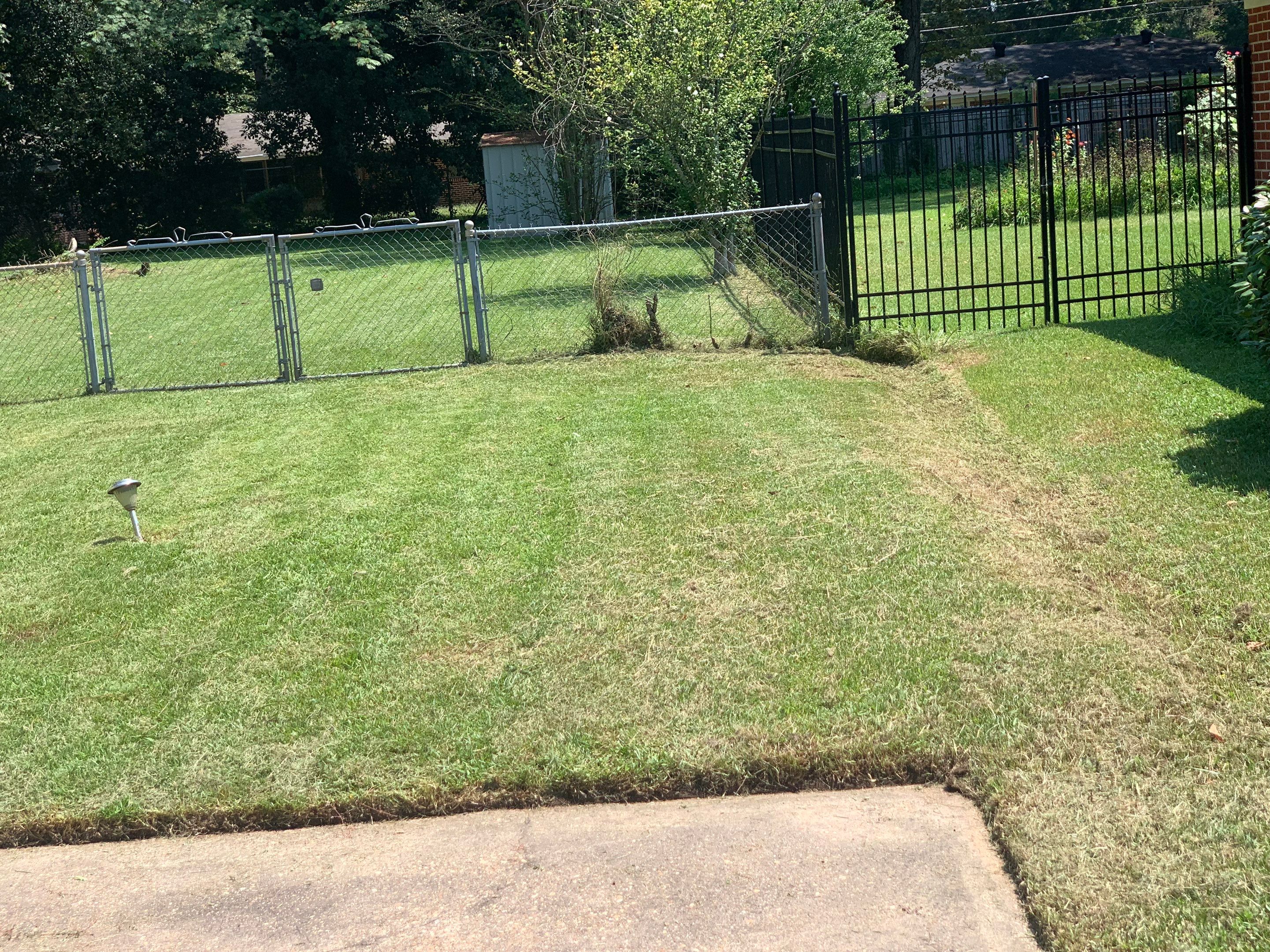 Yard Makeover by College Bros Outdoor services
