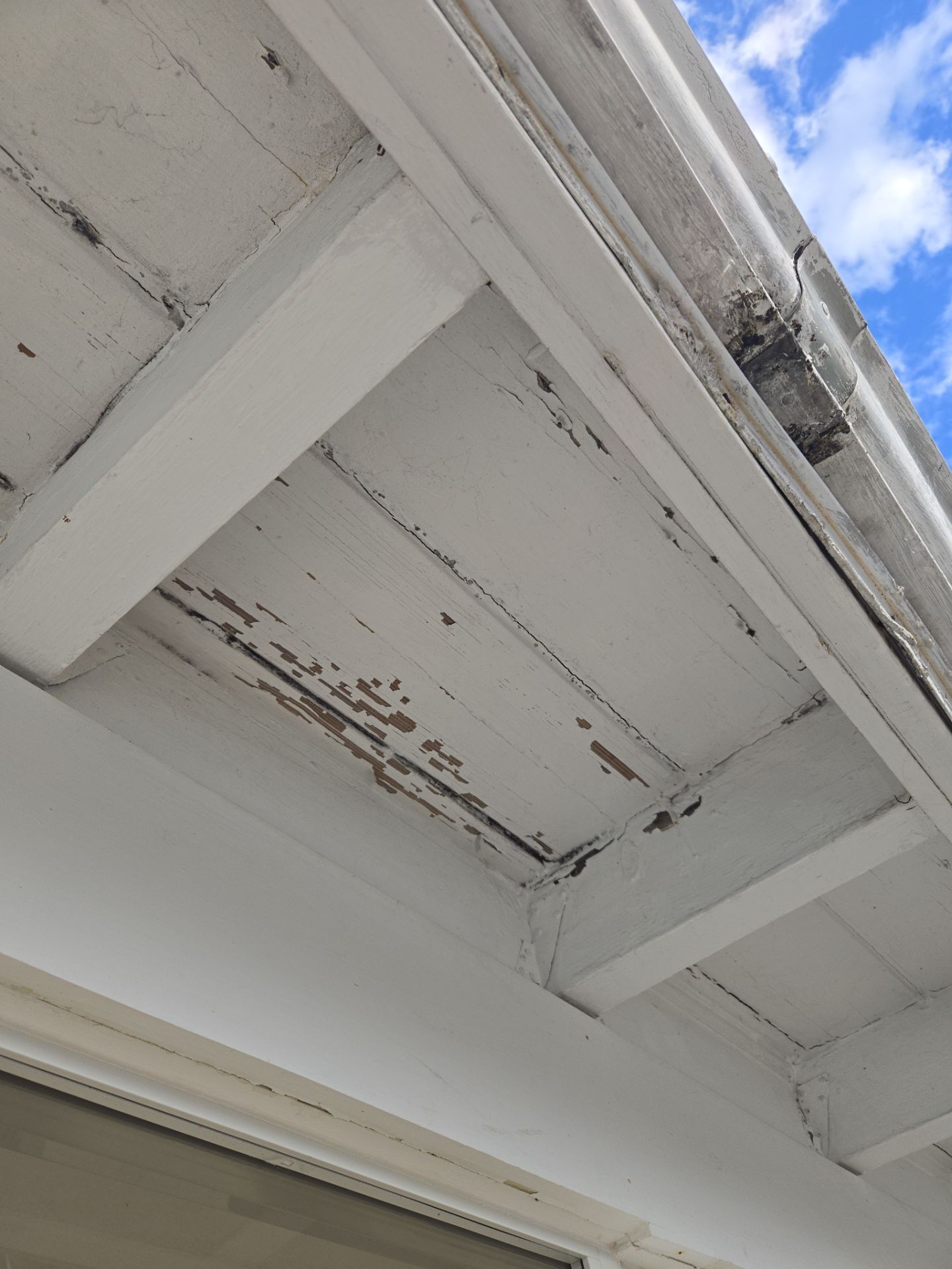 Residential Full Exterior  by John “The Greek” Painting