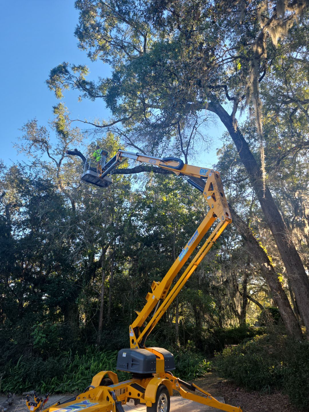 Deerwood Resident | Tree Removal & Trimming by ProGreen Services