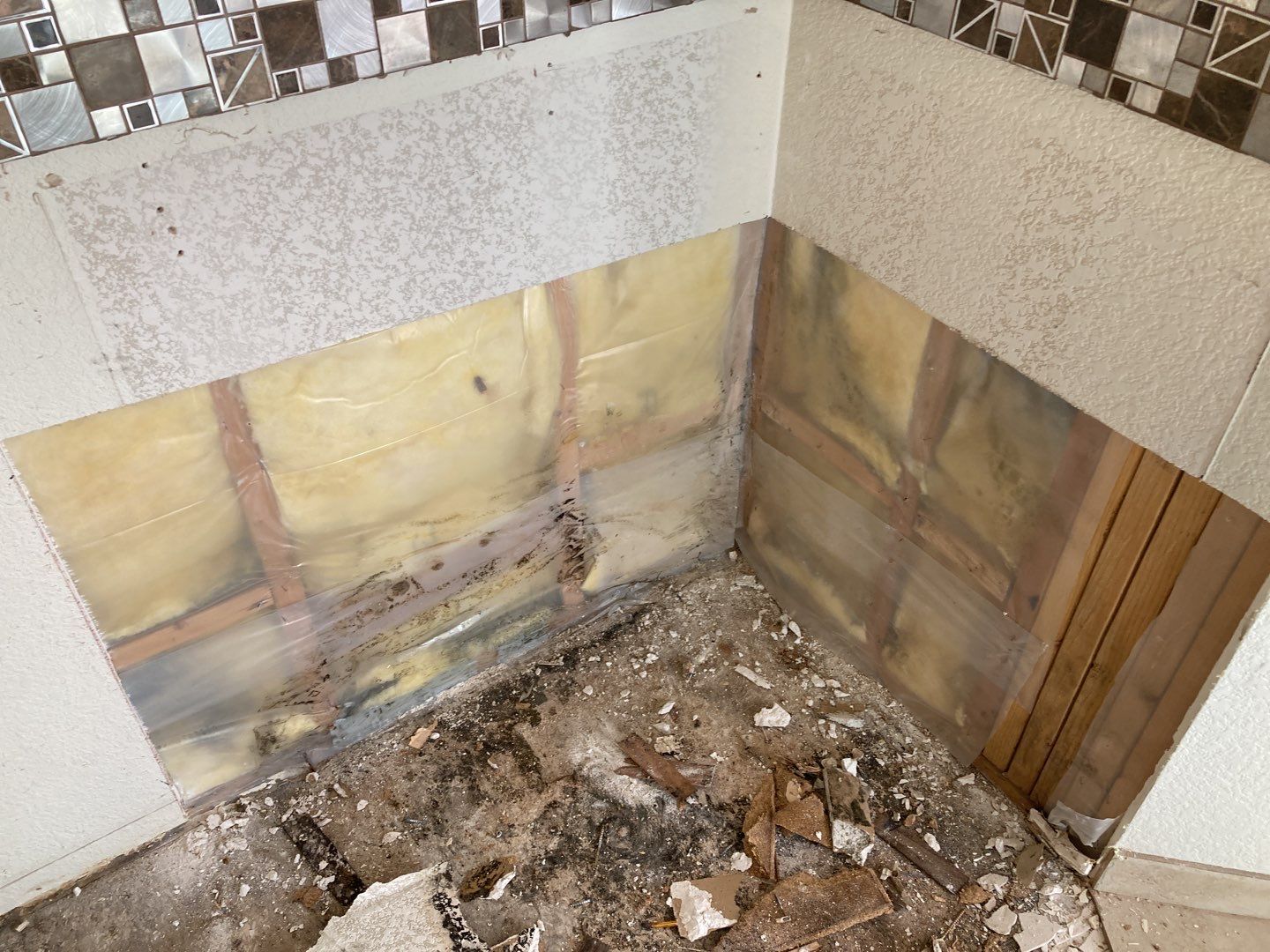 Mold Remediation in Kitchen by Accountable Home Services